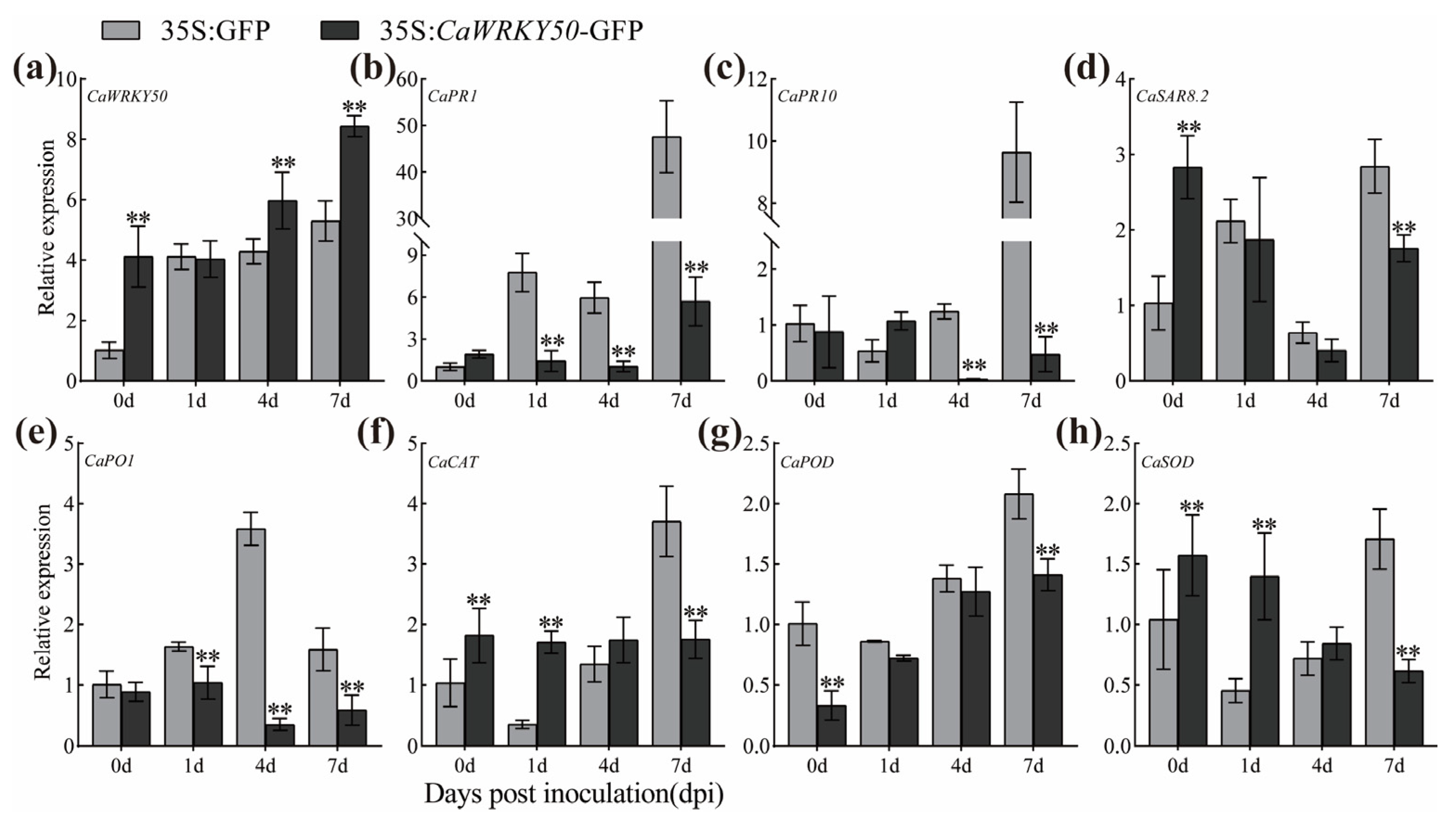Plants 12 01962 g005