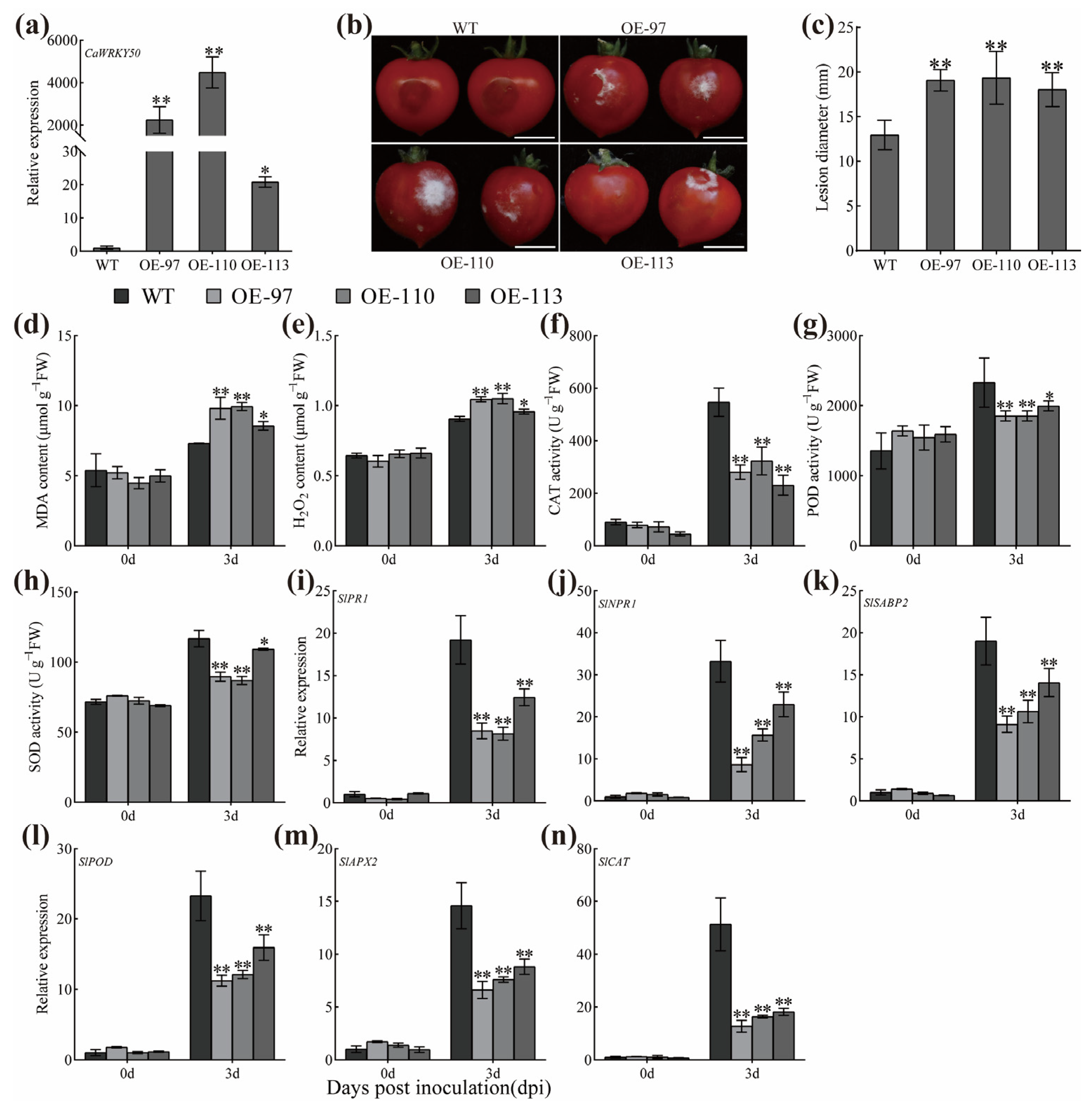 Plants 12 01962 g006