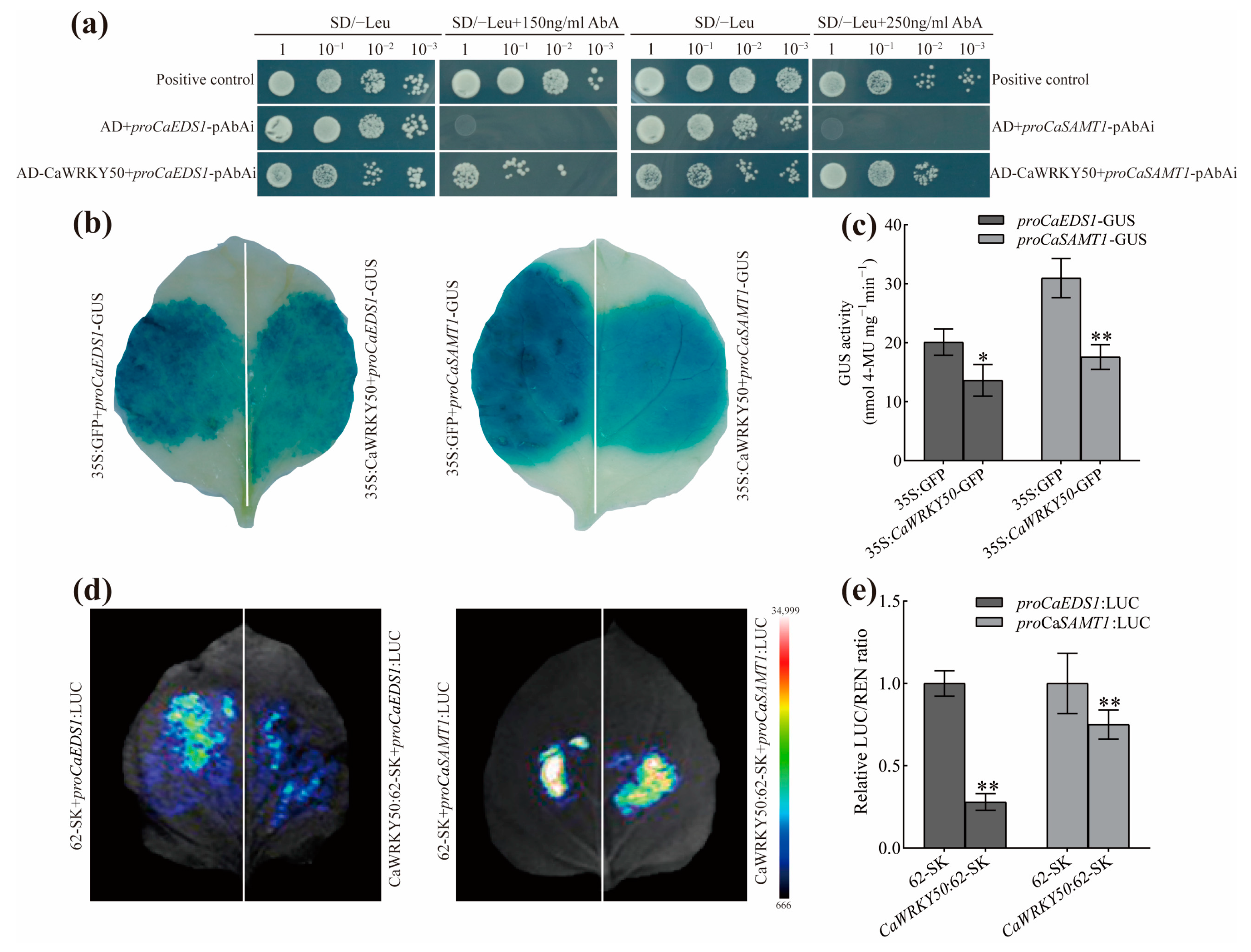 Plants 12 01962 g007