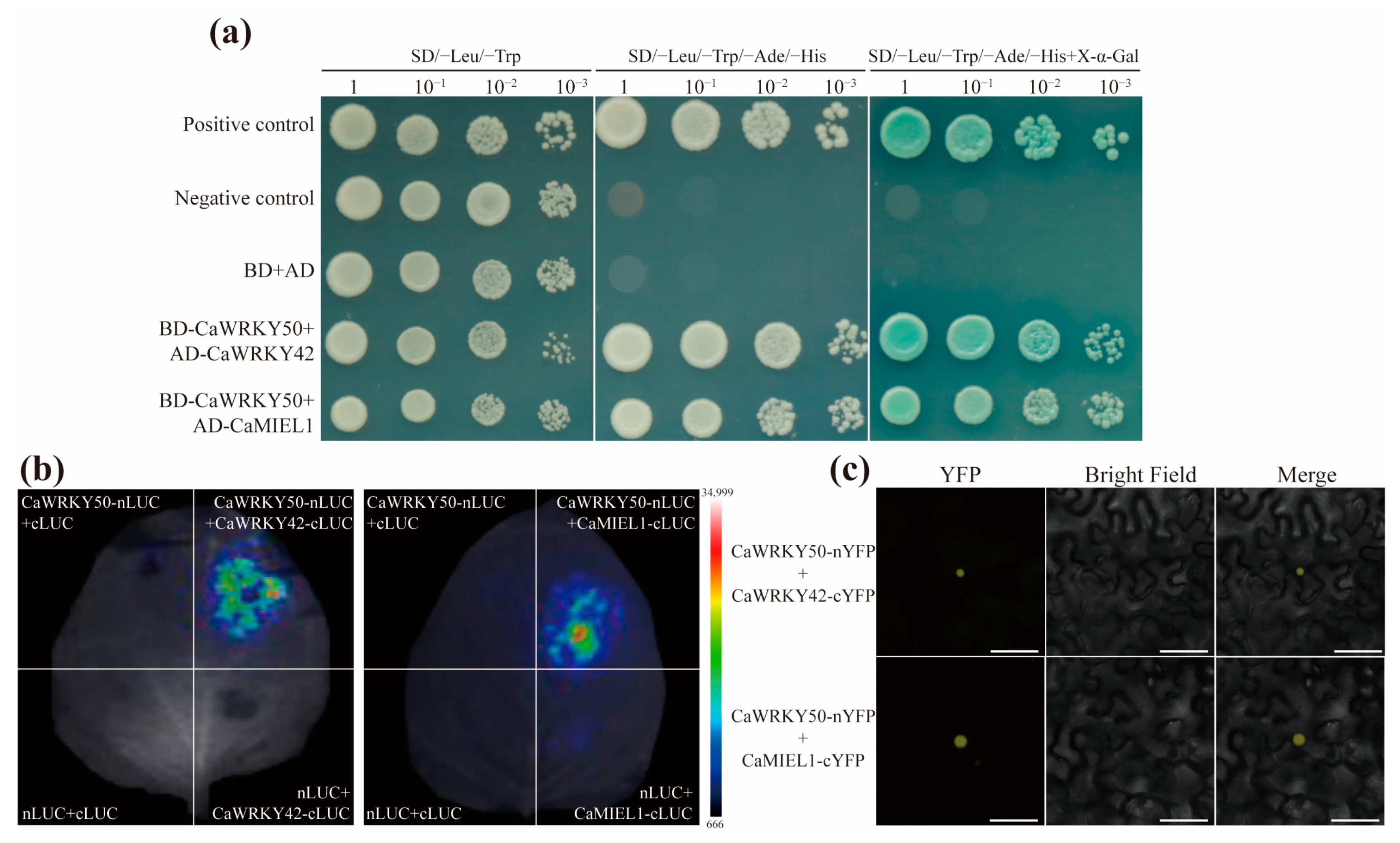 Plants 12 01962 g008