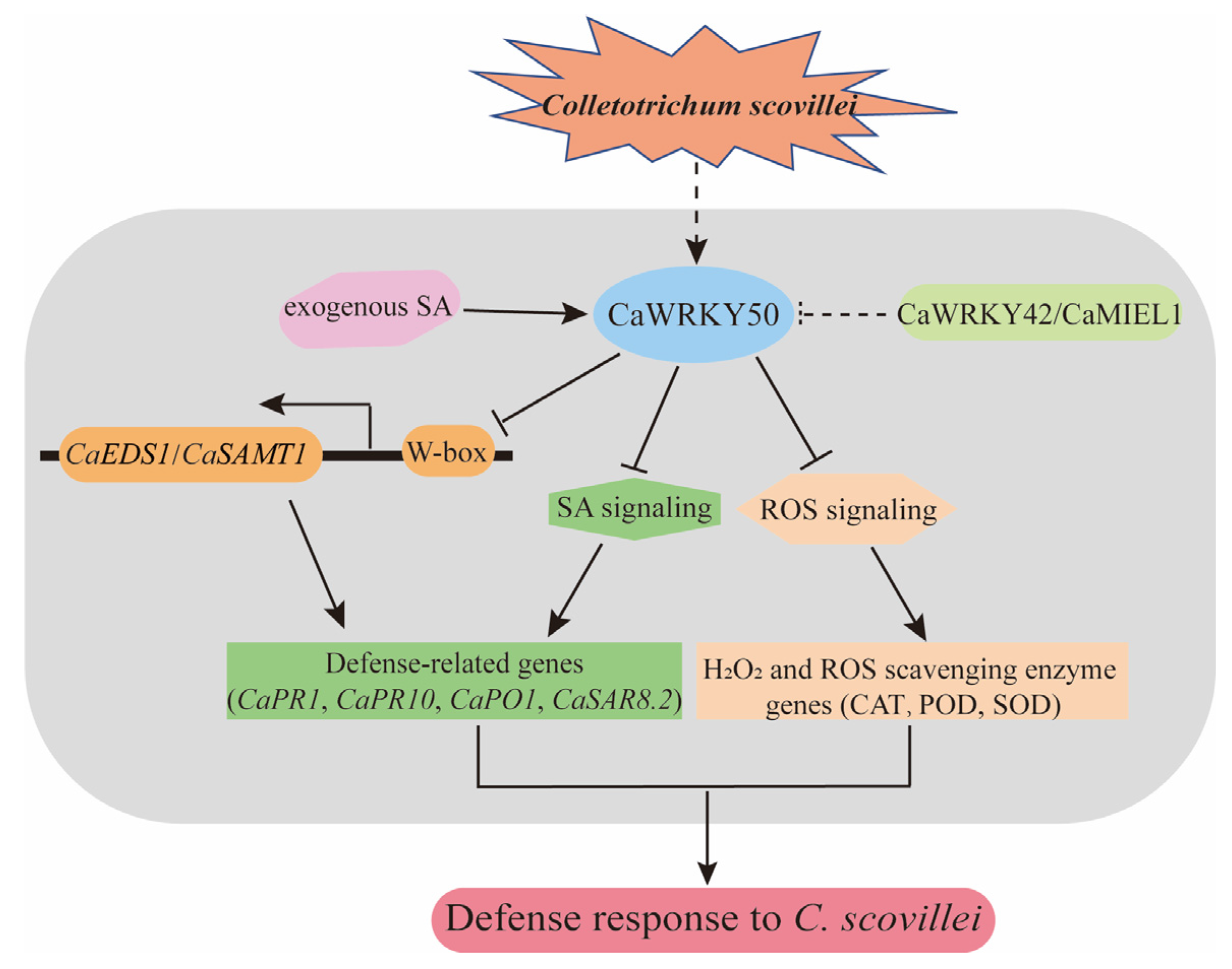 Plants 12 01962 g009