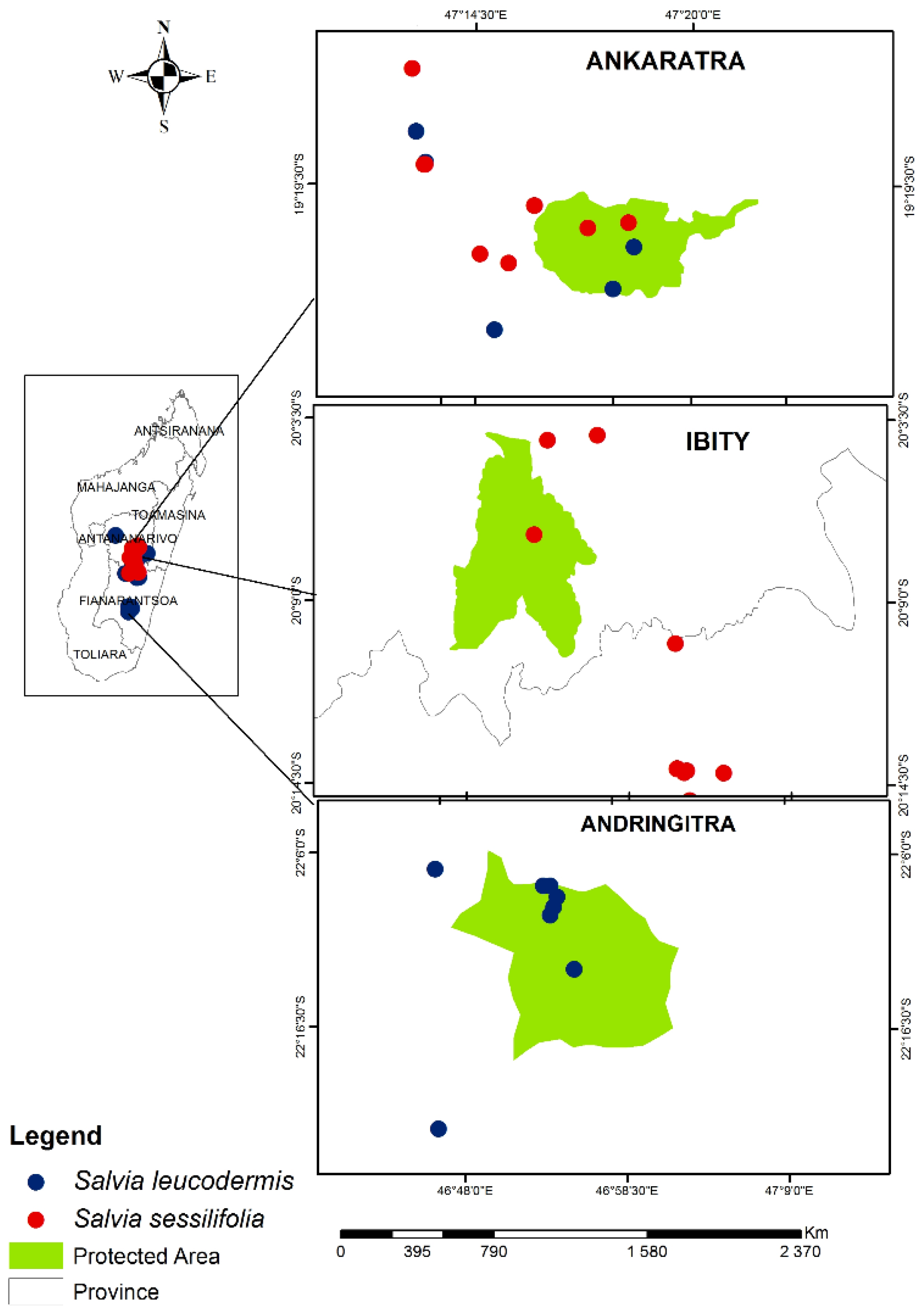 Plants 12 01967 g002 Plants 12 01967 g002