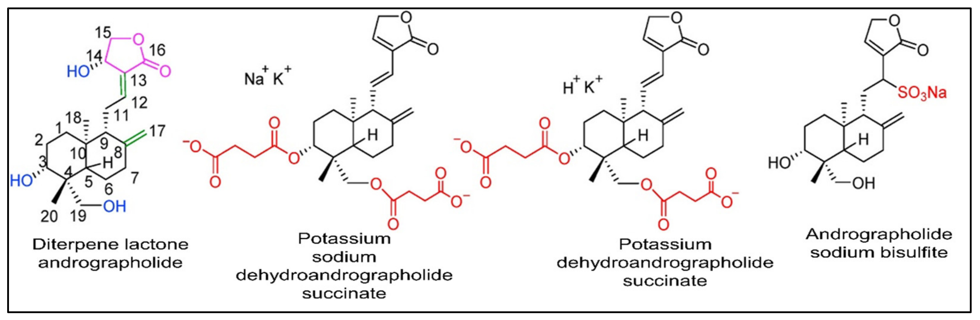 Plants 12 01969 g001 Plants 12 01969 g001