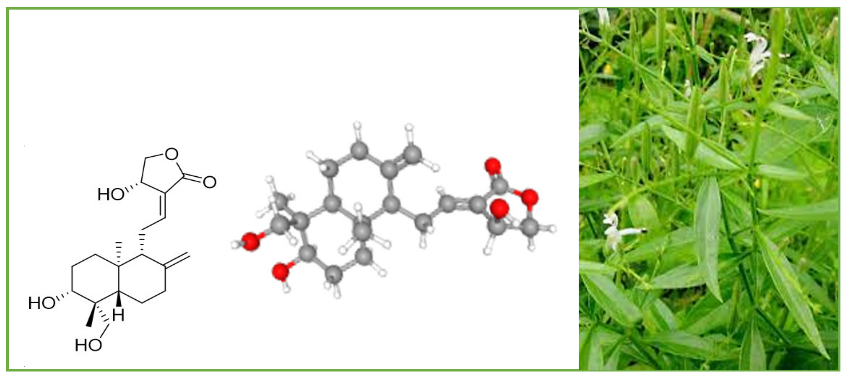 Plants 12 01969 g002 Plants 12 01969 g002