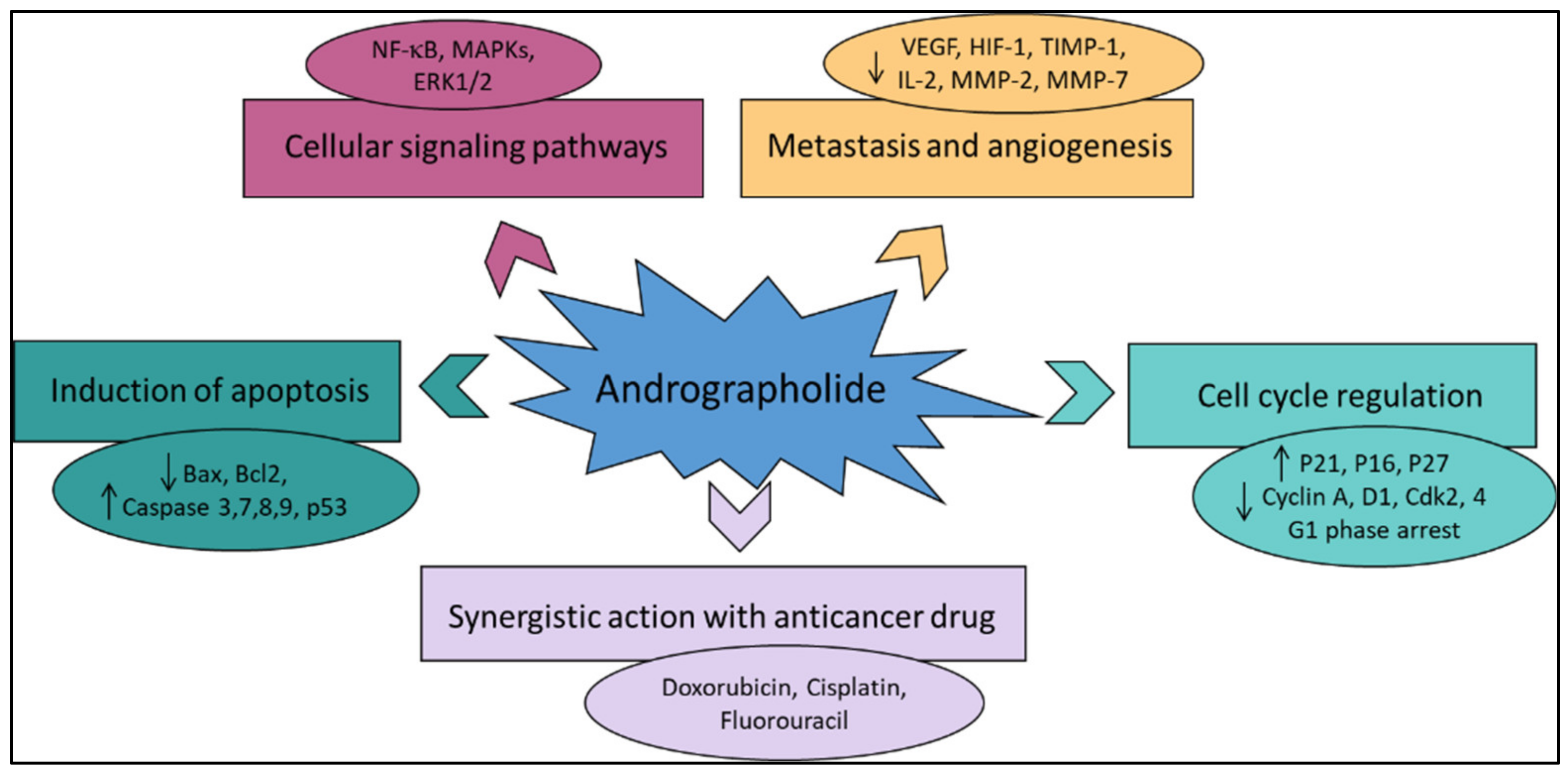 Plants 12 01969 g004 Plants 12 01969 g004