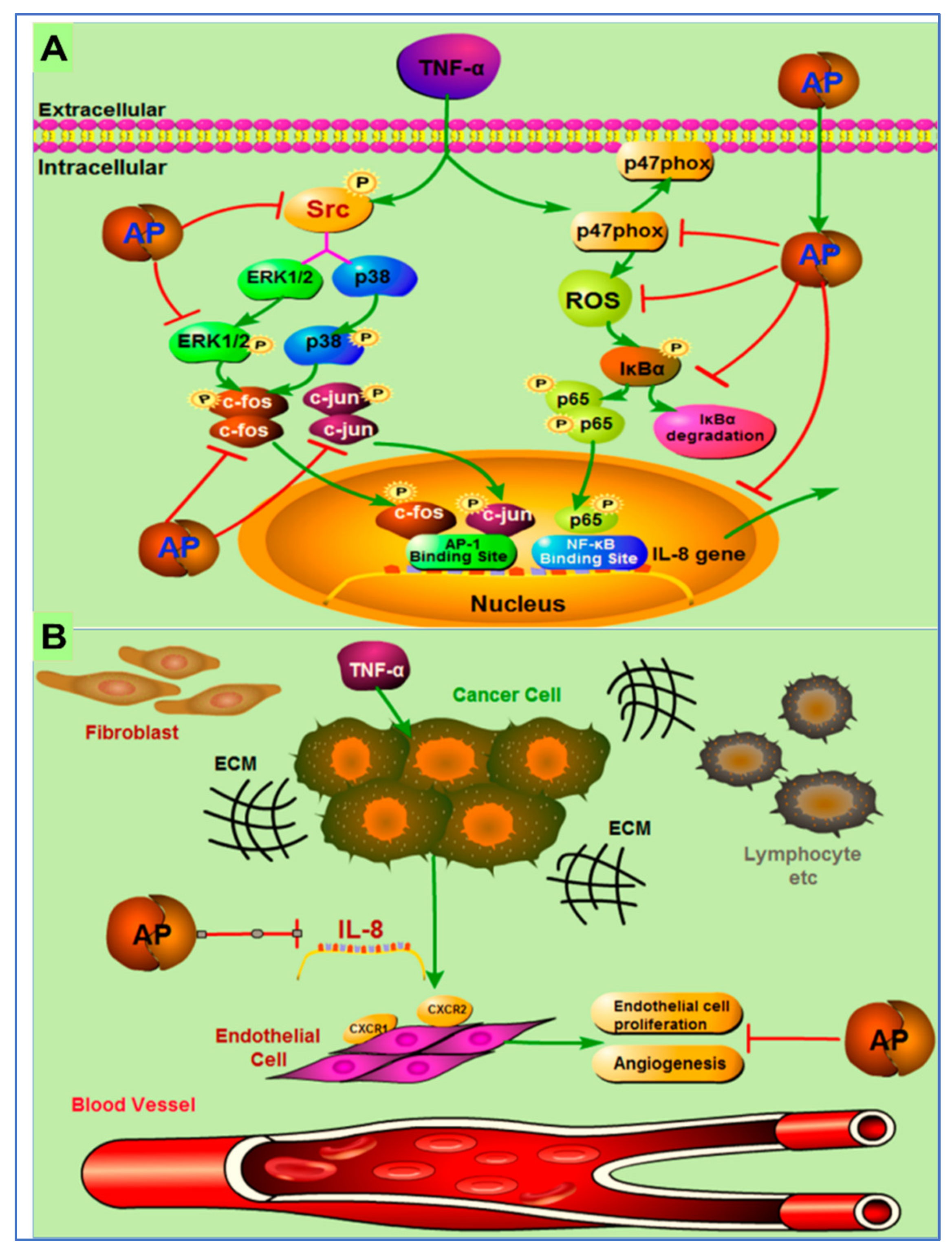 Plants 12 01969 g007 Plants 12 01969 g007