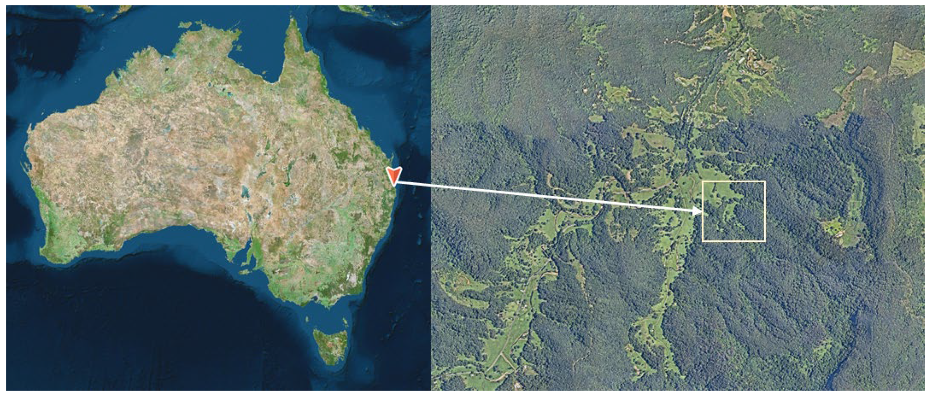 Plants 12 01970 g006