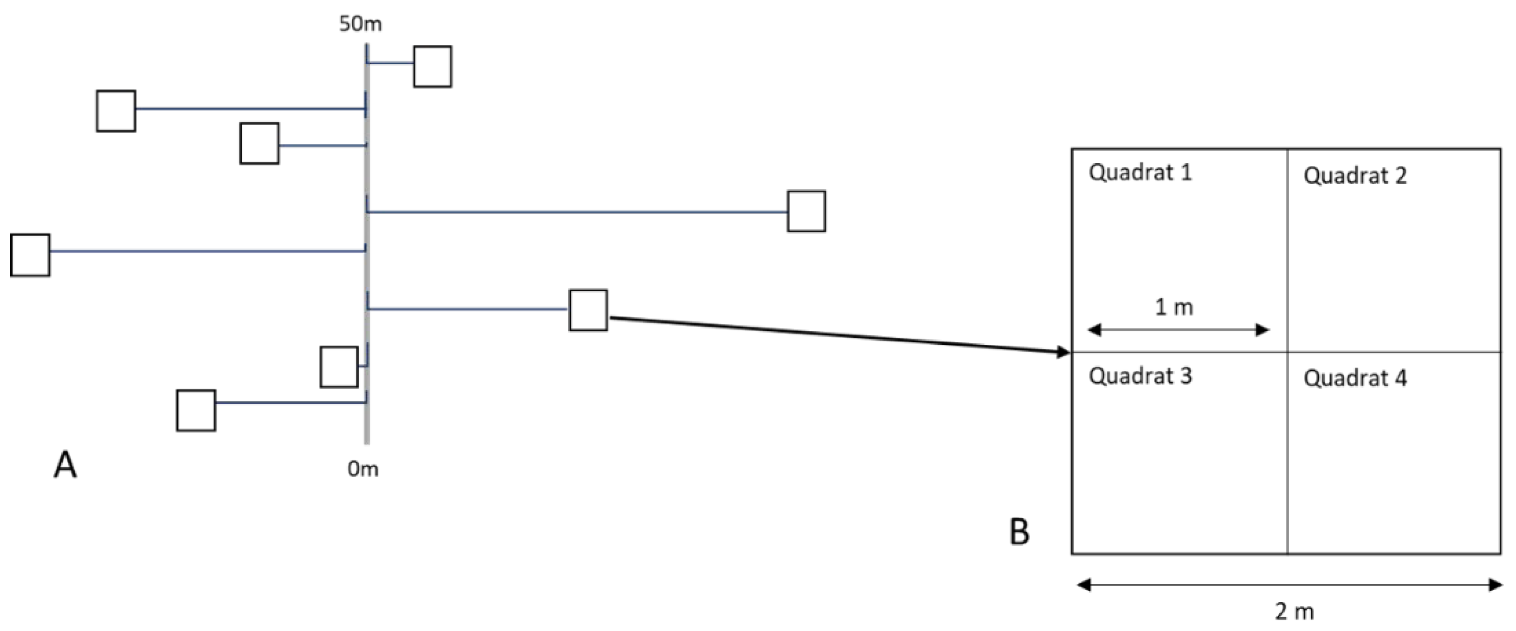 Plants 12 01970 g007