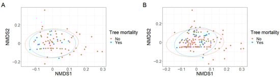 Plants 12 01970 g0a4