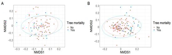 Plants 12 01970 g0a5