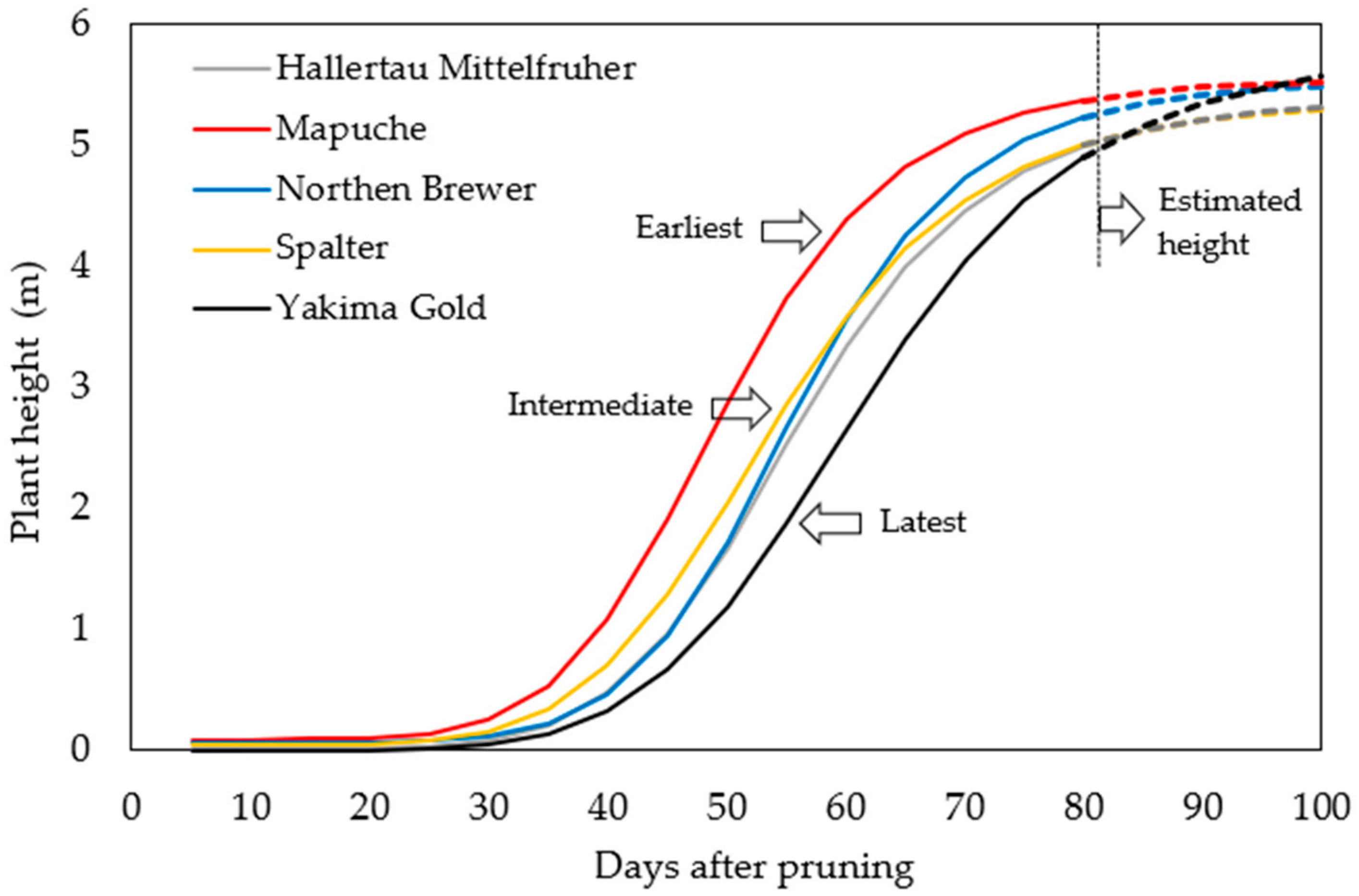 Plants 12 01971 g003 Plants 12 01971 g003