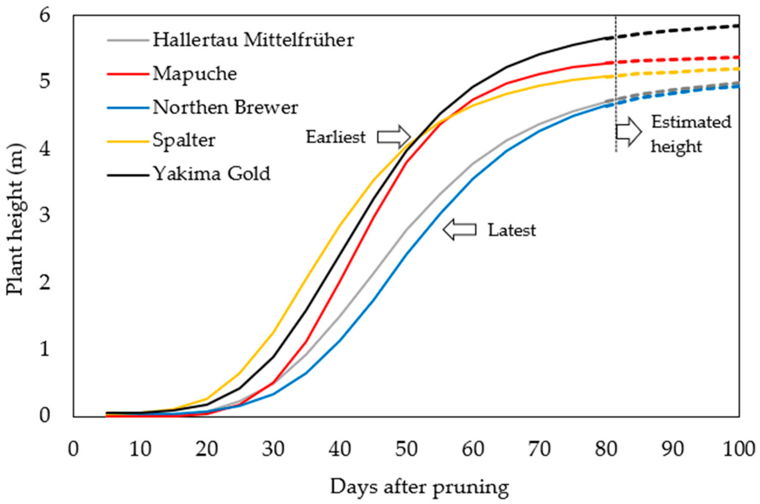 Plants 12 01971 g004 Plants 12 01971 g004