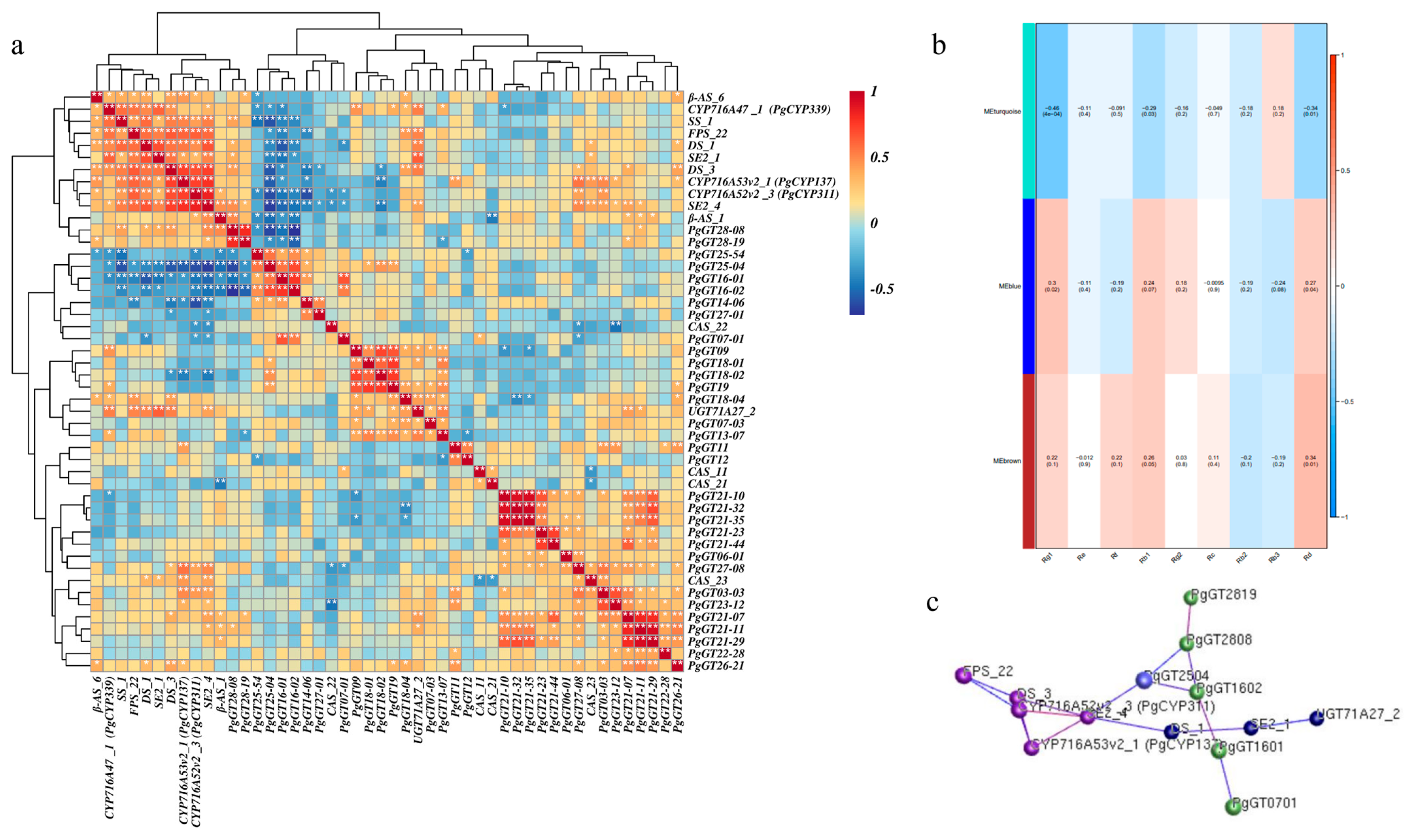 Plants 12 01980 g003