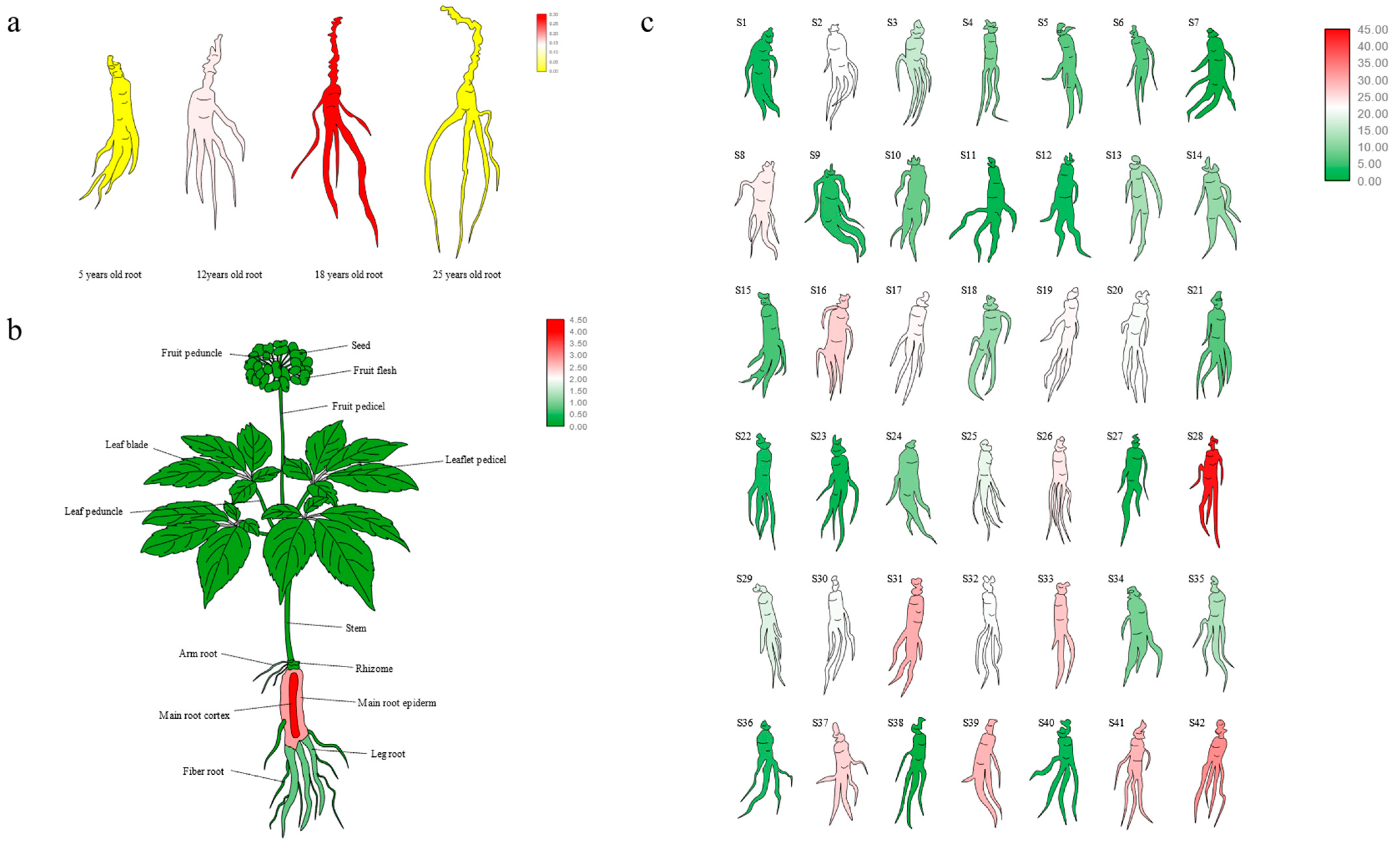 Plants 12 01980 g006