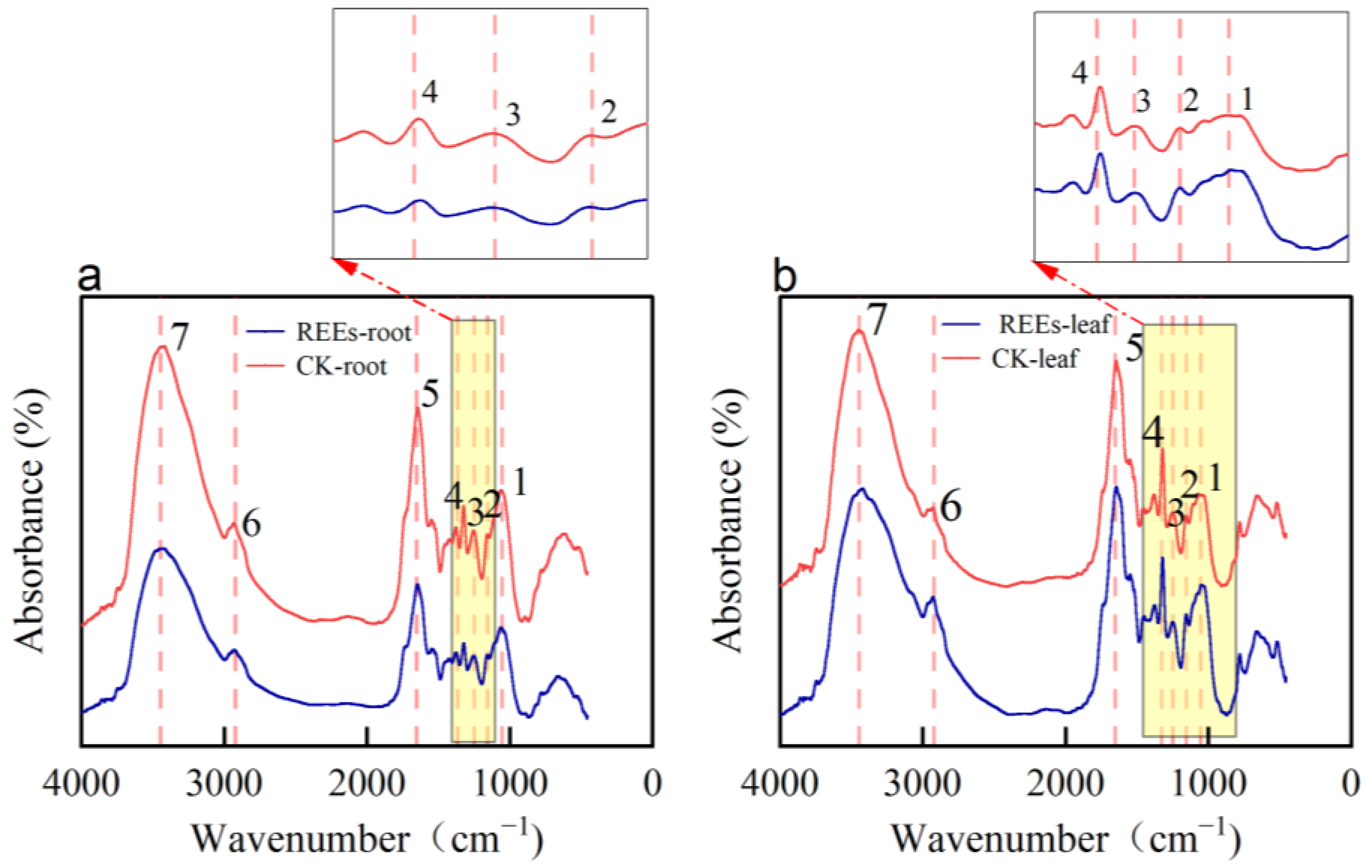 Plants 12 01981 g005