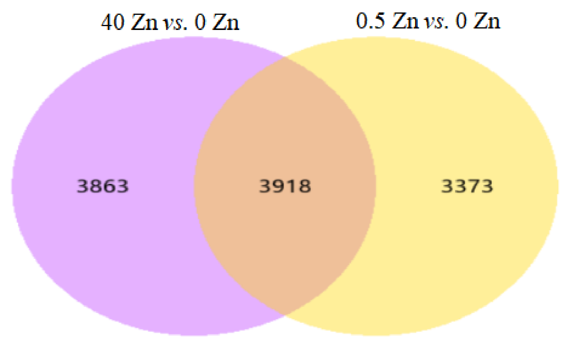 Plants 12 01982 g004