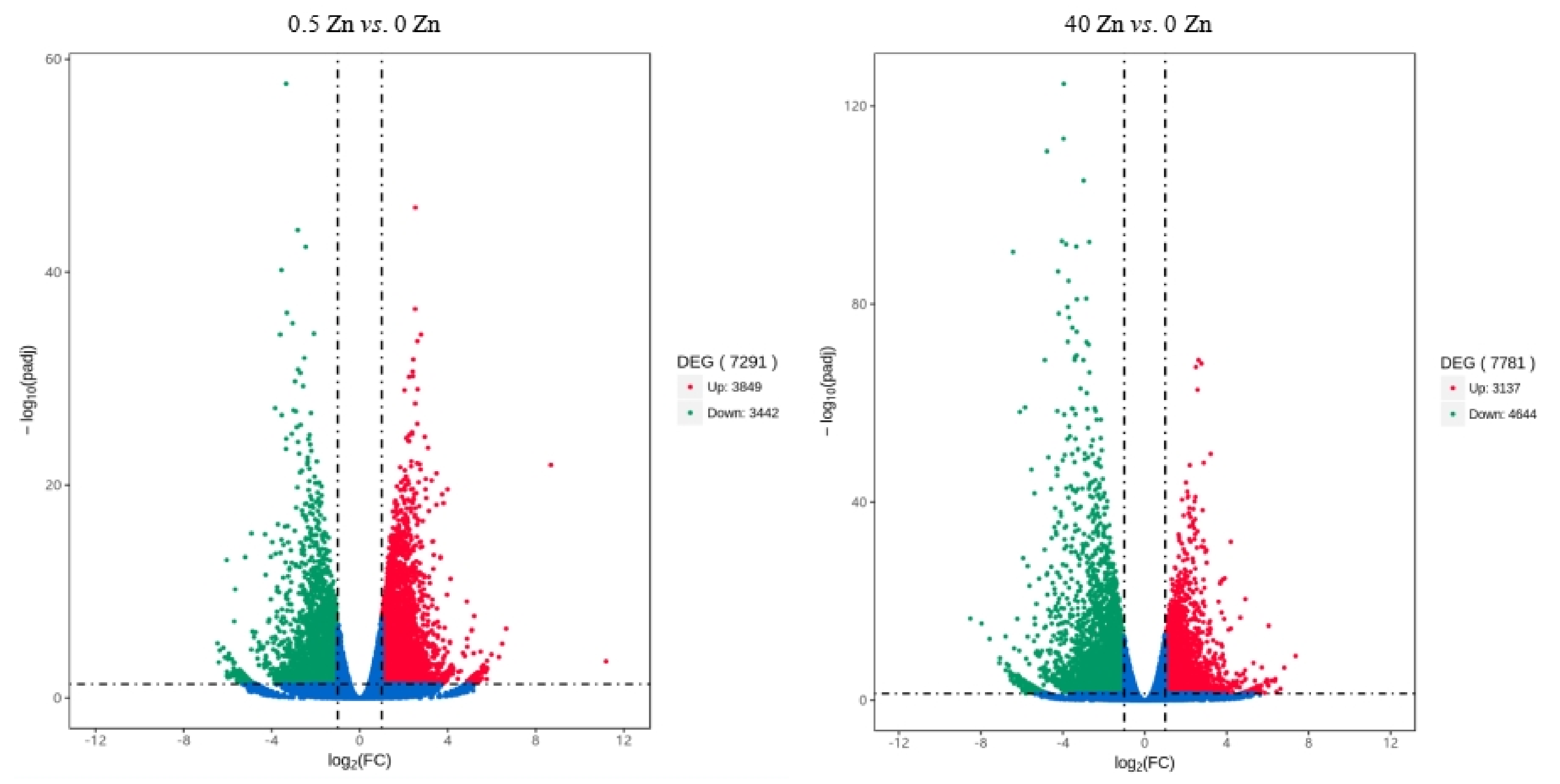 Plants 12 01982 g005