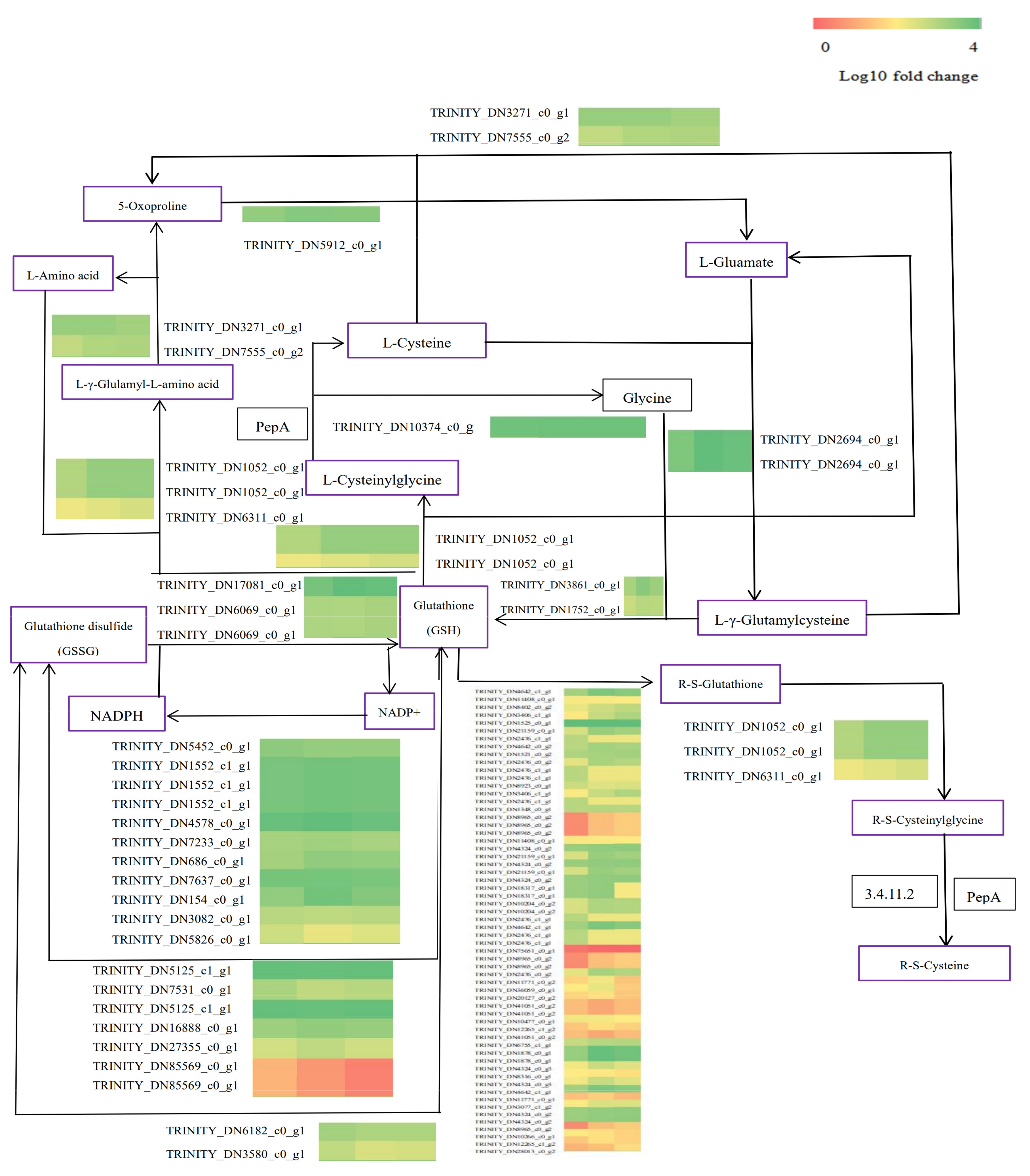 Plants 12 01982 g007