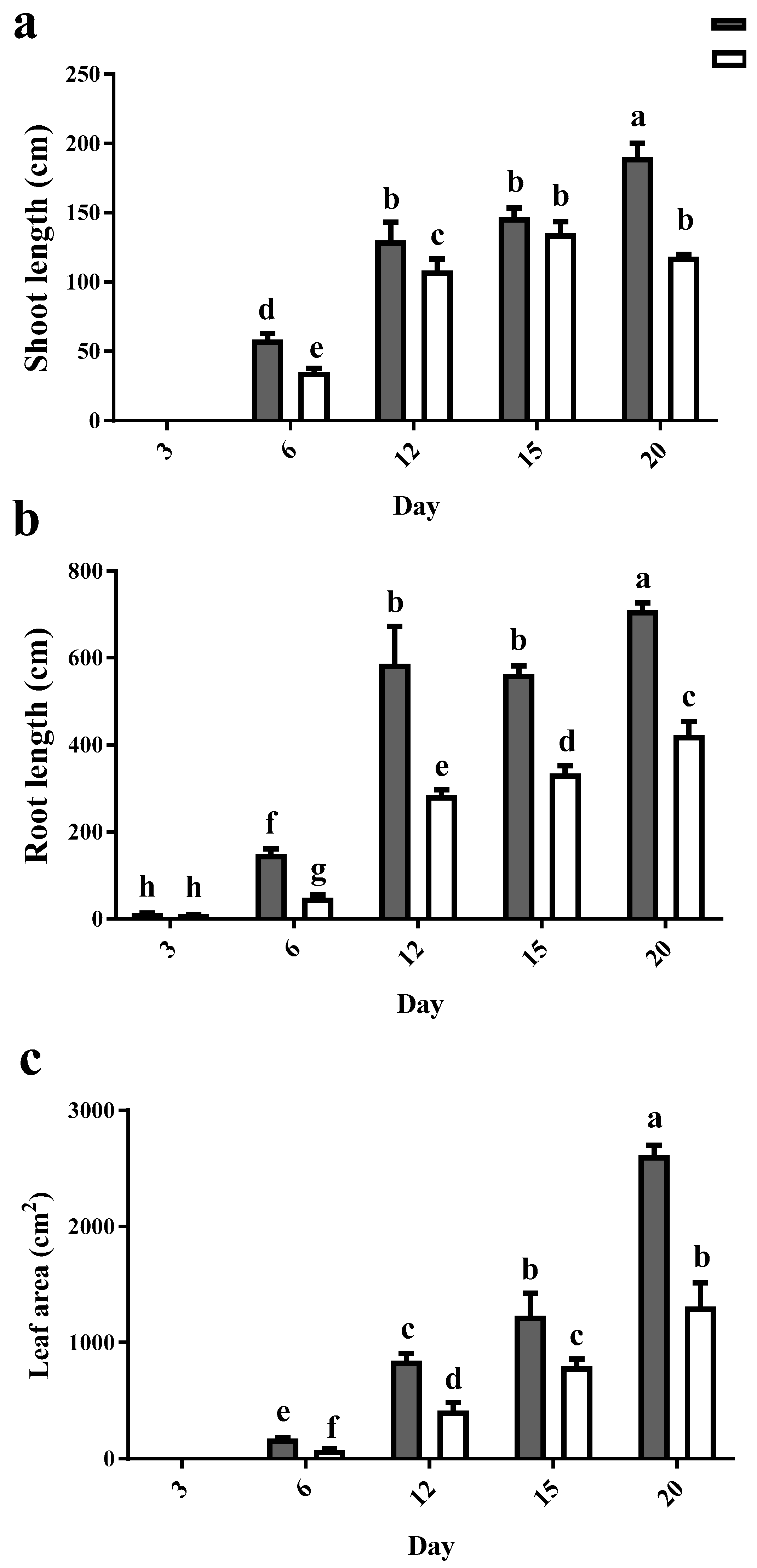 Plants 12 01991 g001