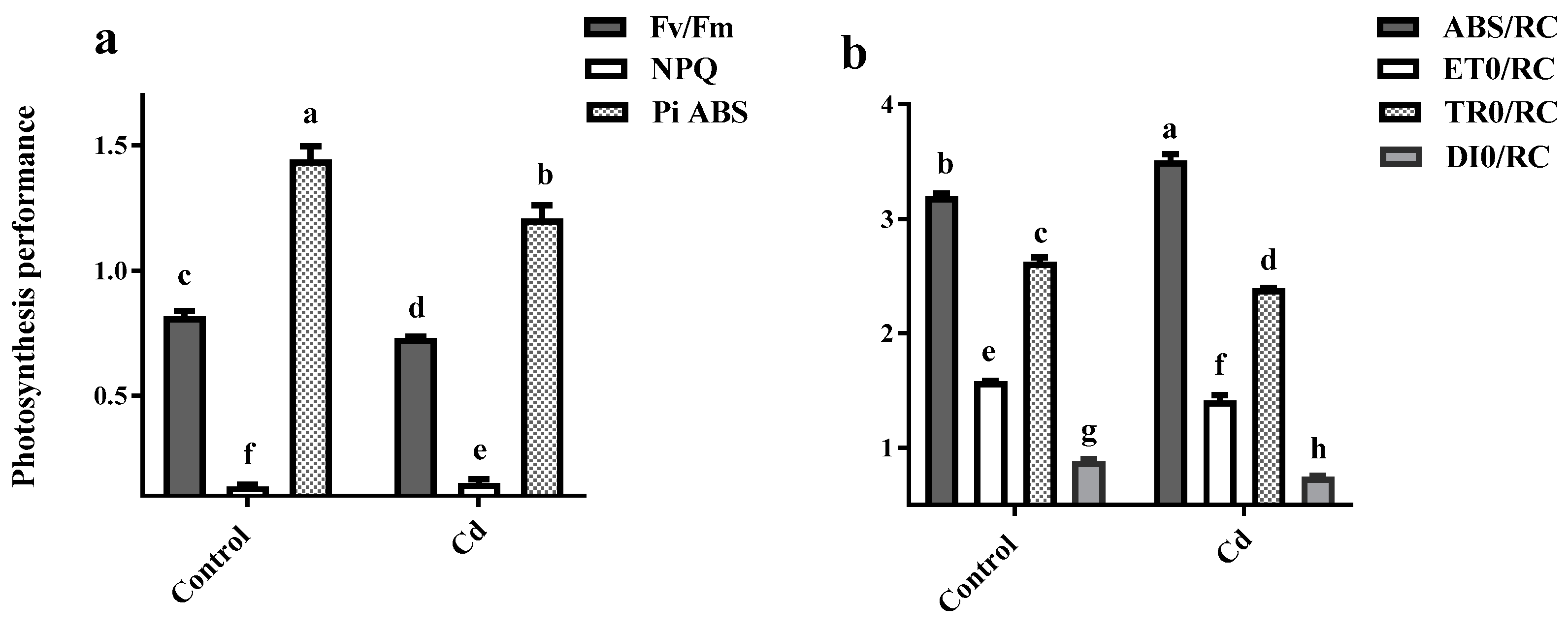 Plants 12 01991 g003