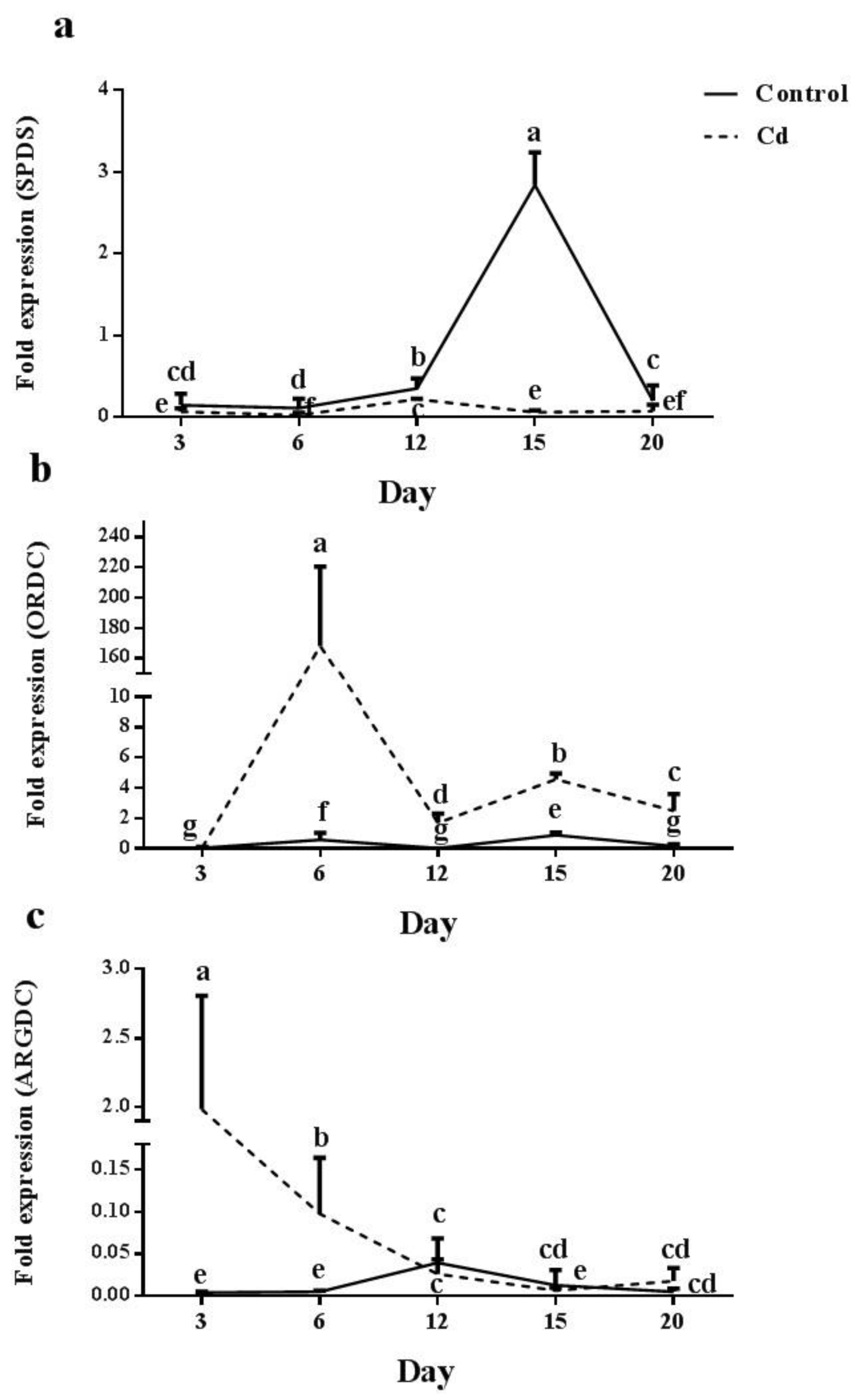 Plants 12 01991 g006