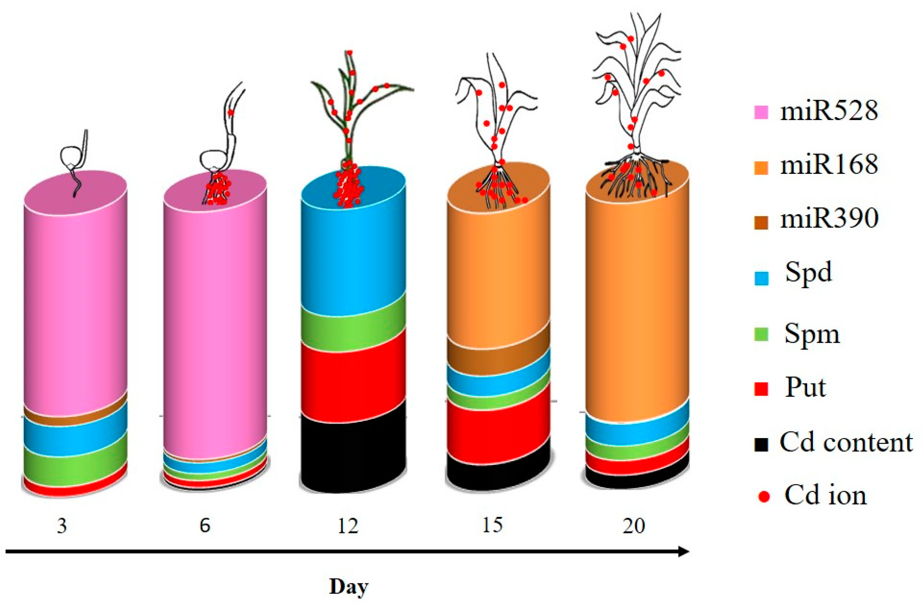 Plants 12 01991 g008