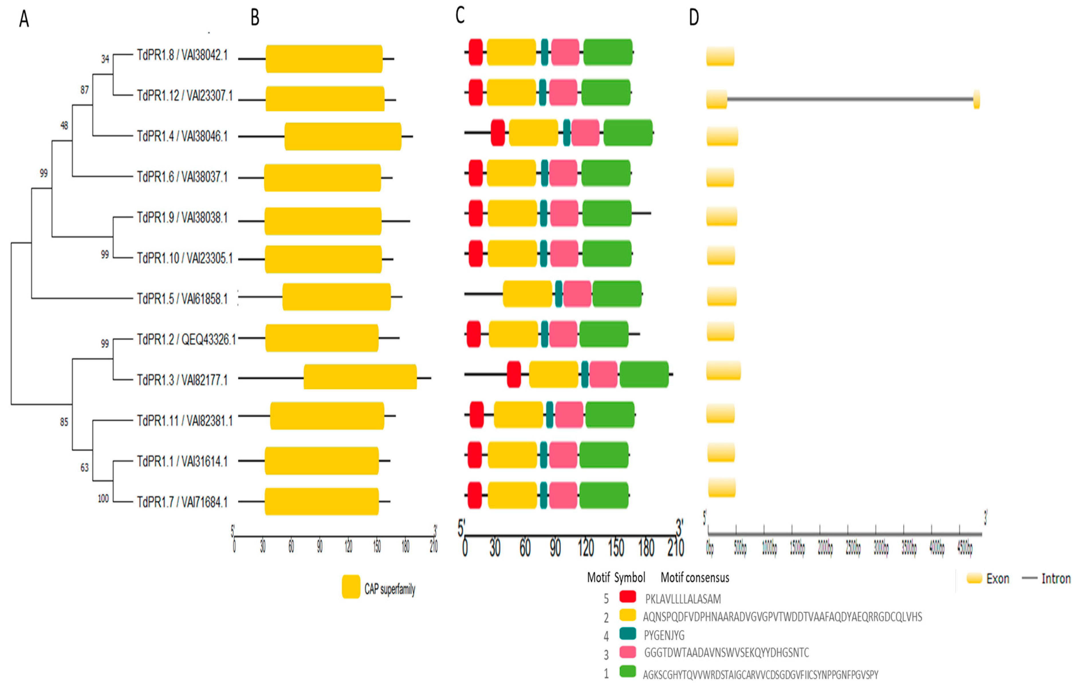 Plants 12 01998 g001 Plants 12 01998 g001