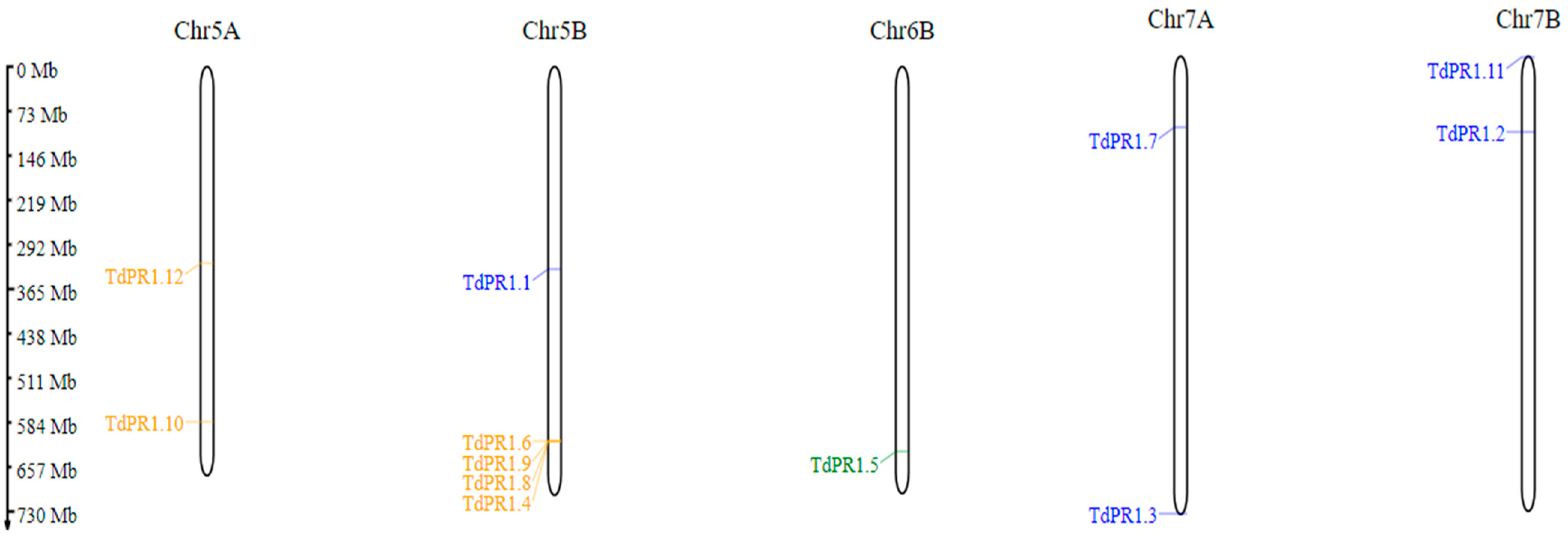 Plants 12 01998 g002 Plants 12 01998 g002
