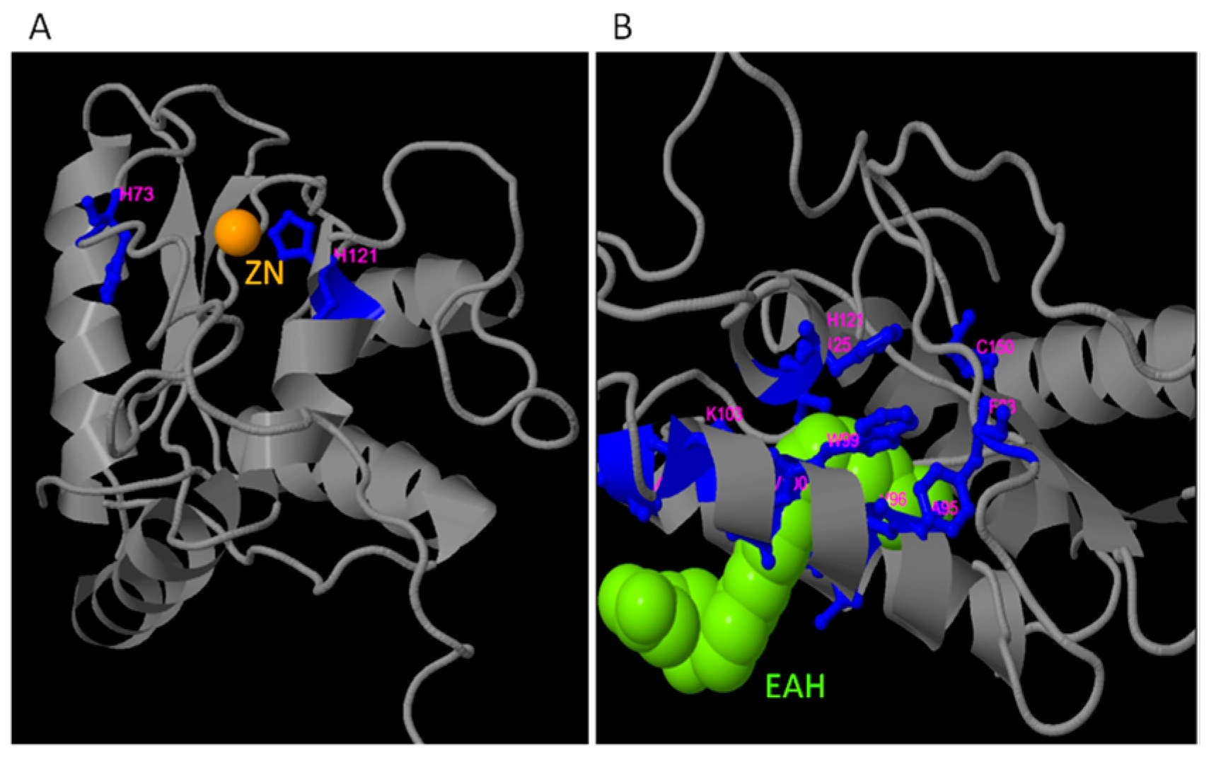 Plants 12 01998 g006 Plants 12 01998 g006