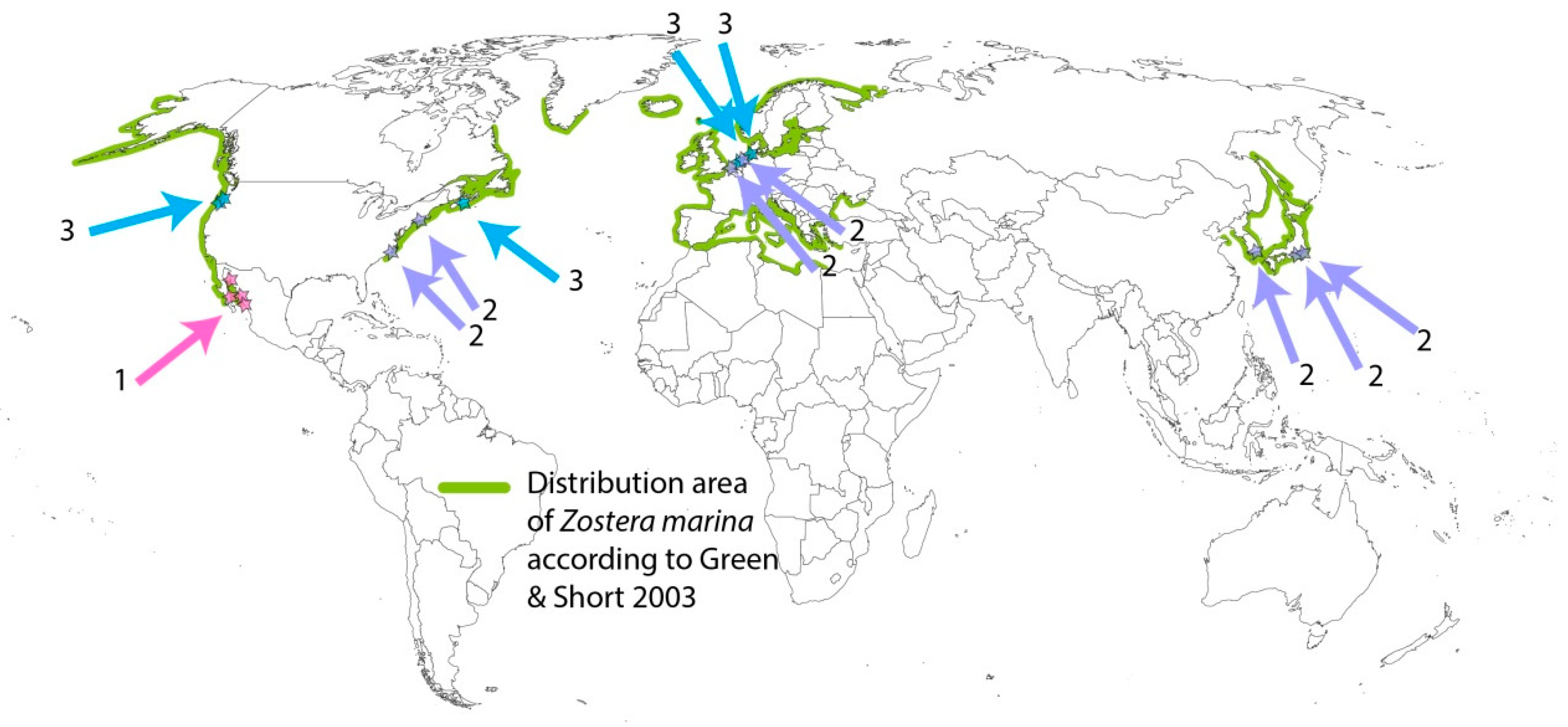 Plants 12 02002 g001