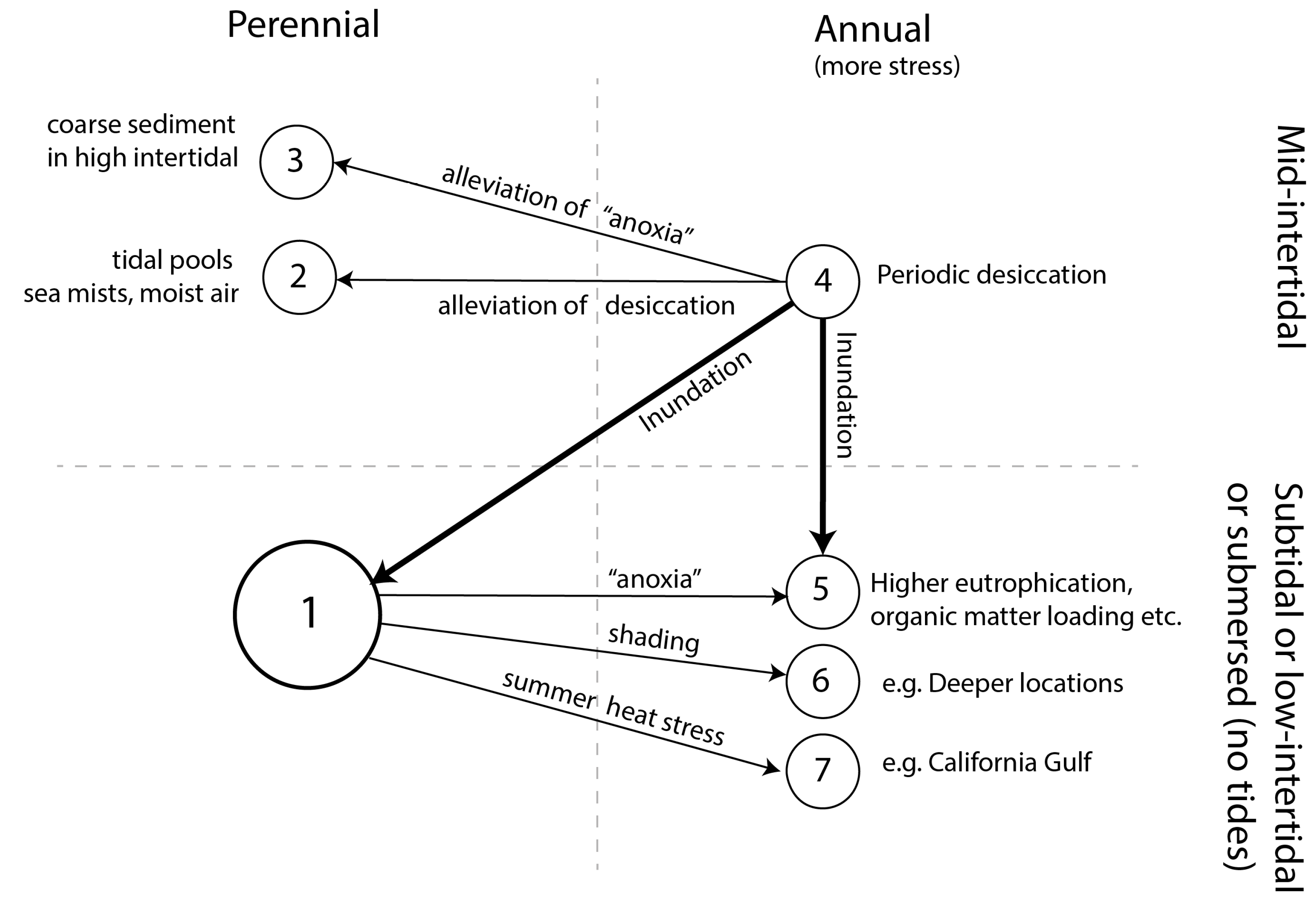 Plants 12 02002 g003