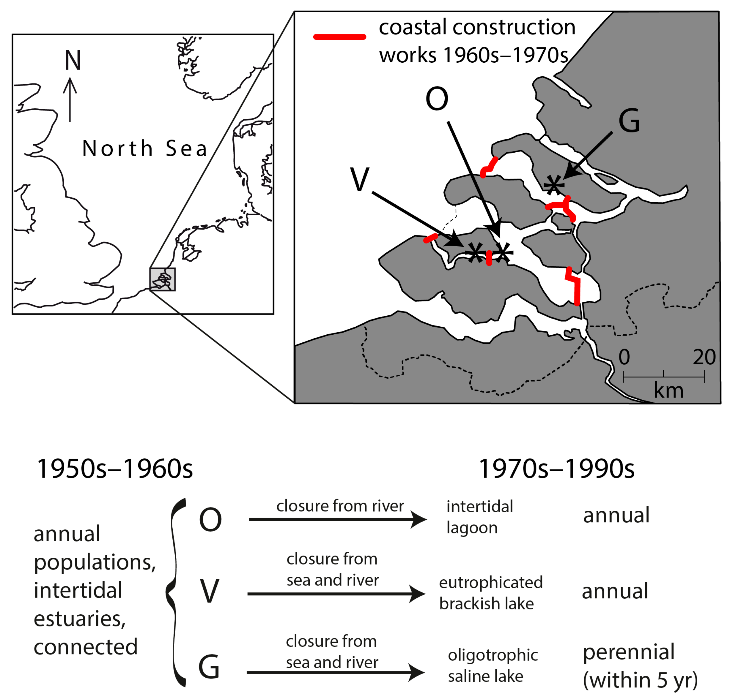 Plants 12 02002 g004