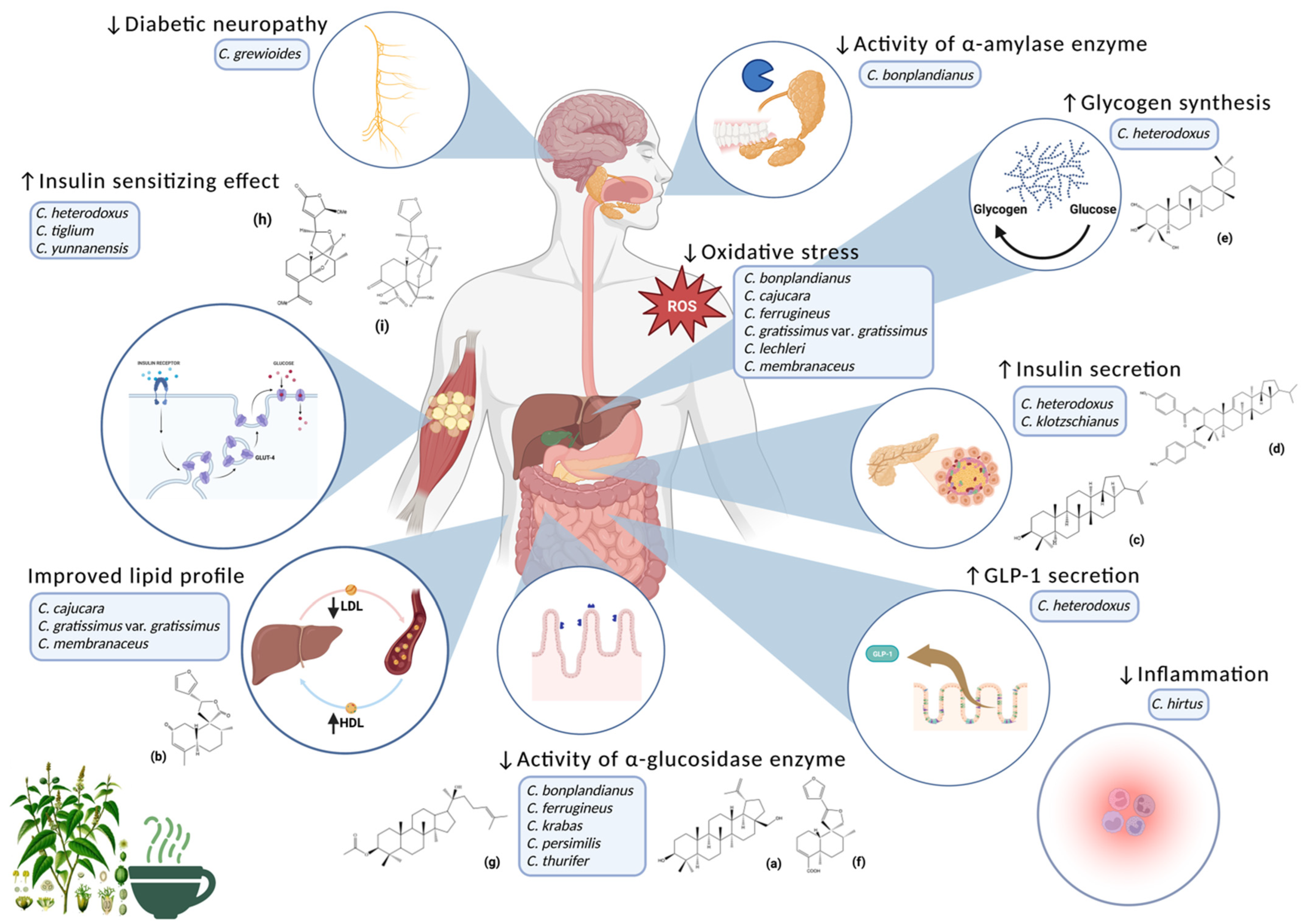 Plants 12 02014 g002
