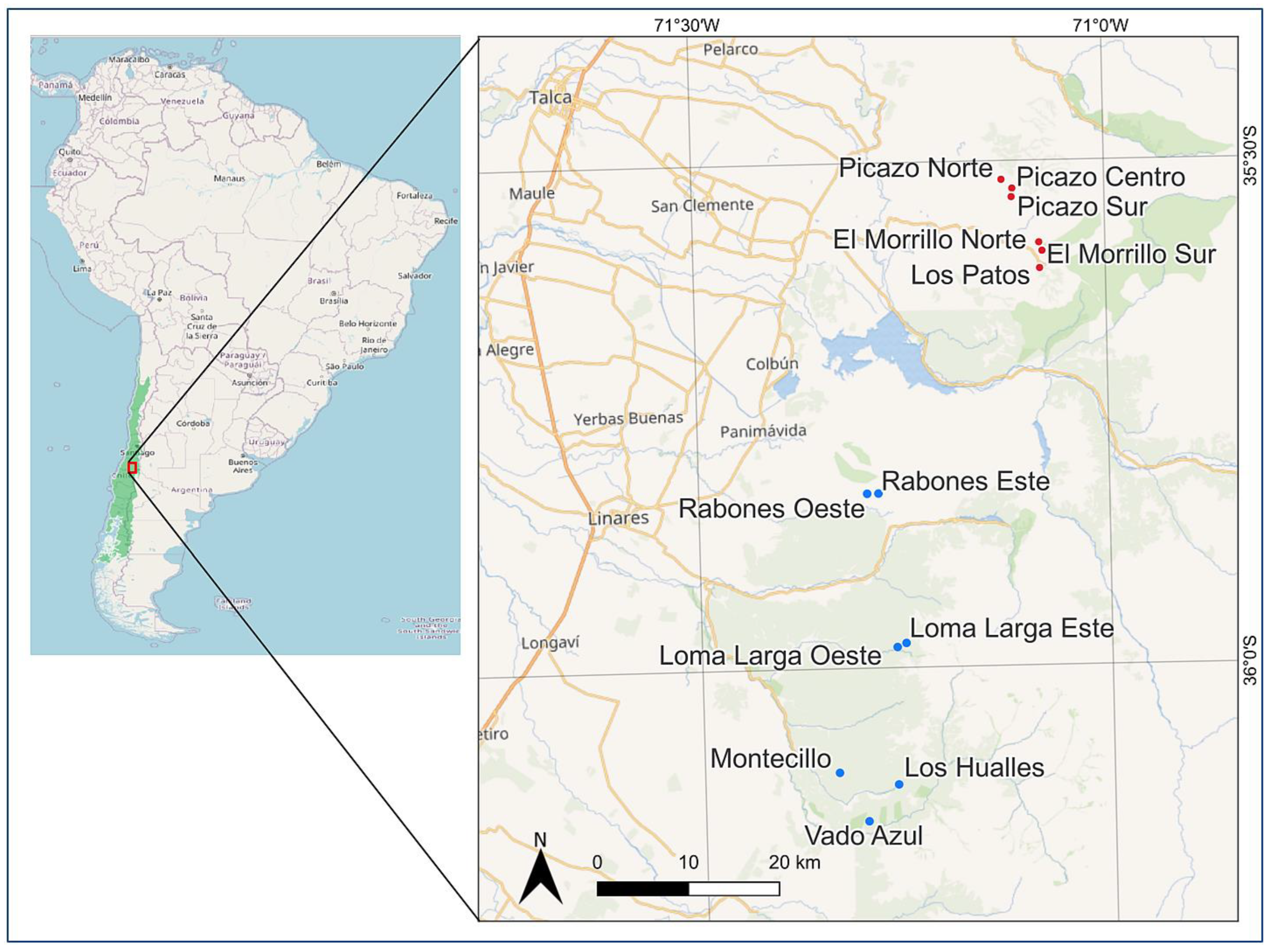 Plants 12 02017 g001