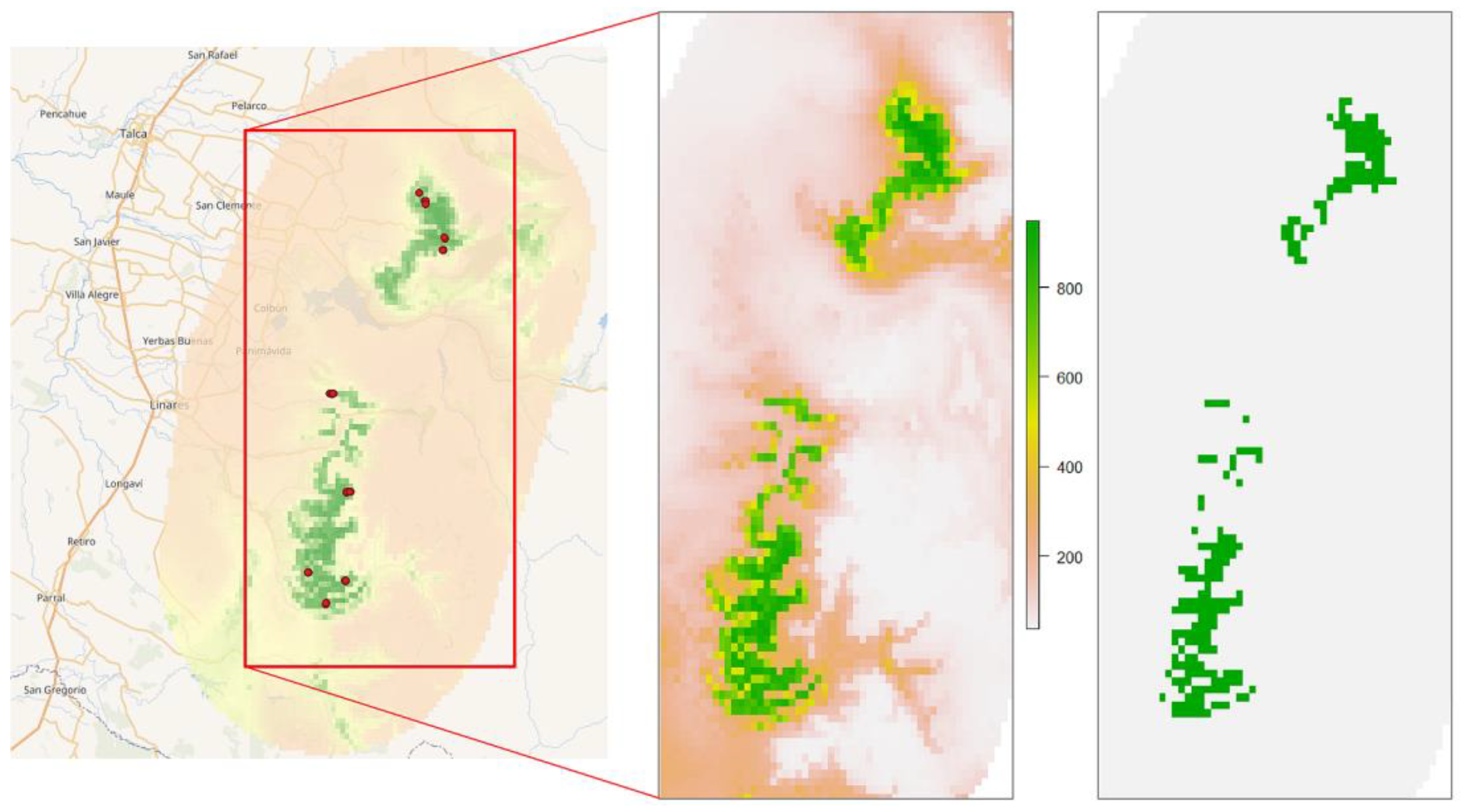 Plants 12 02017 g004