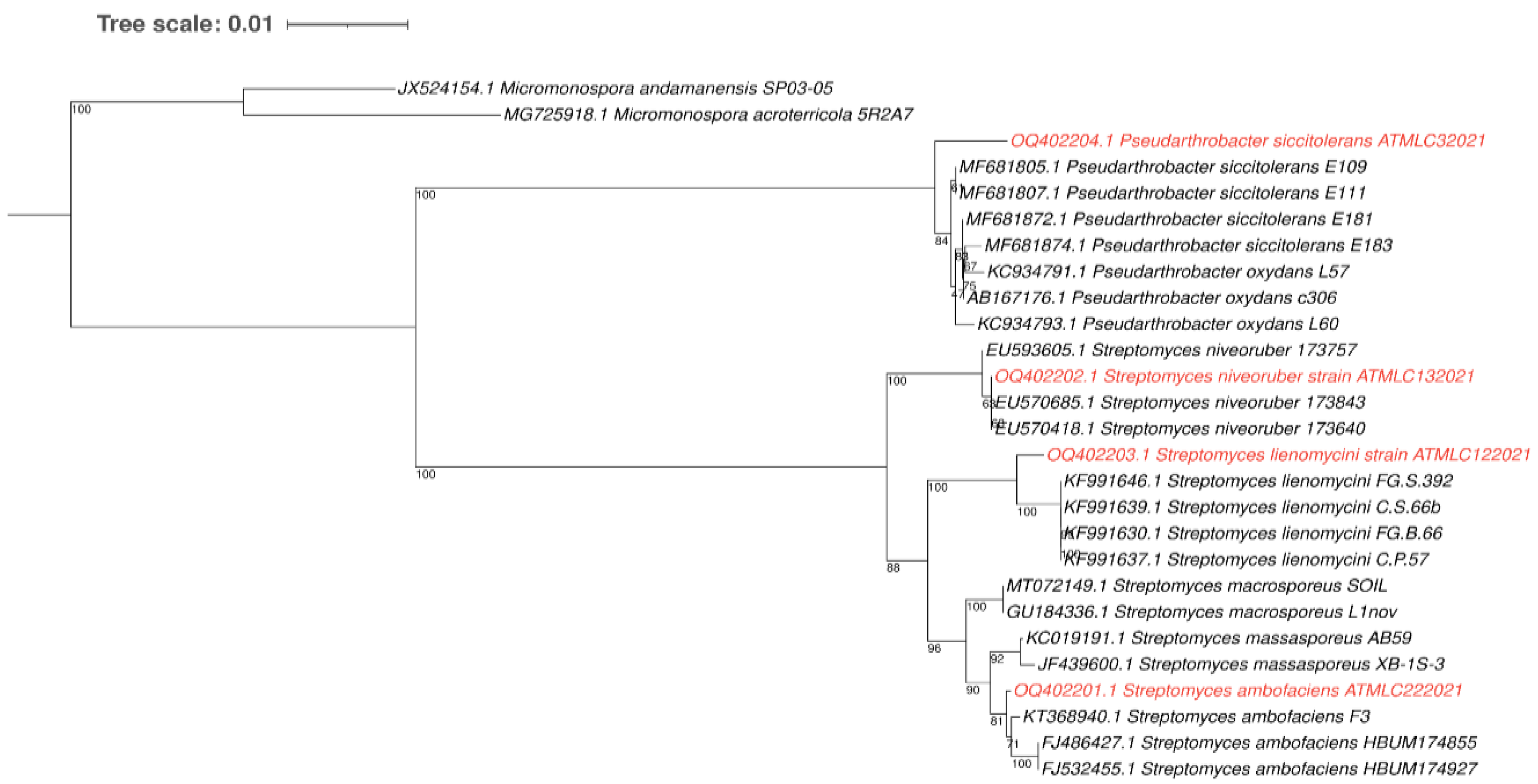 Plants 12 02018 g001