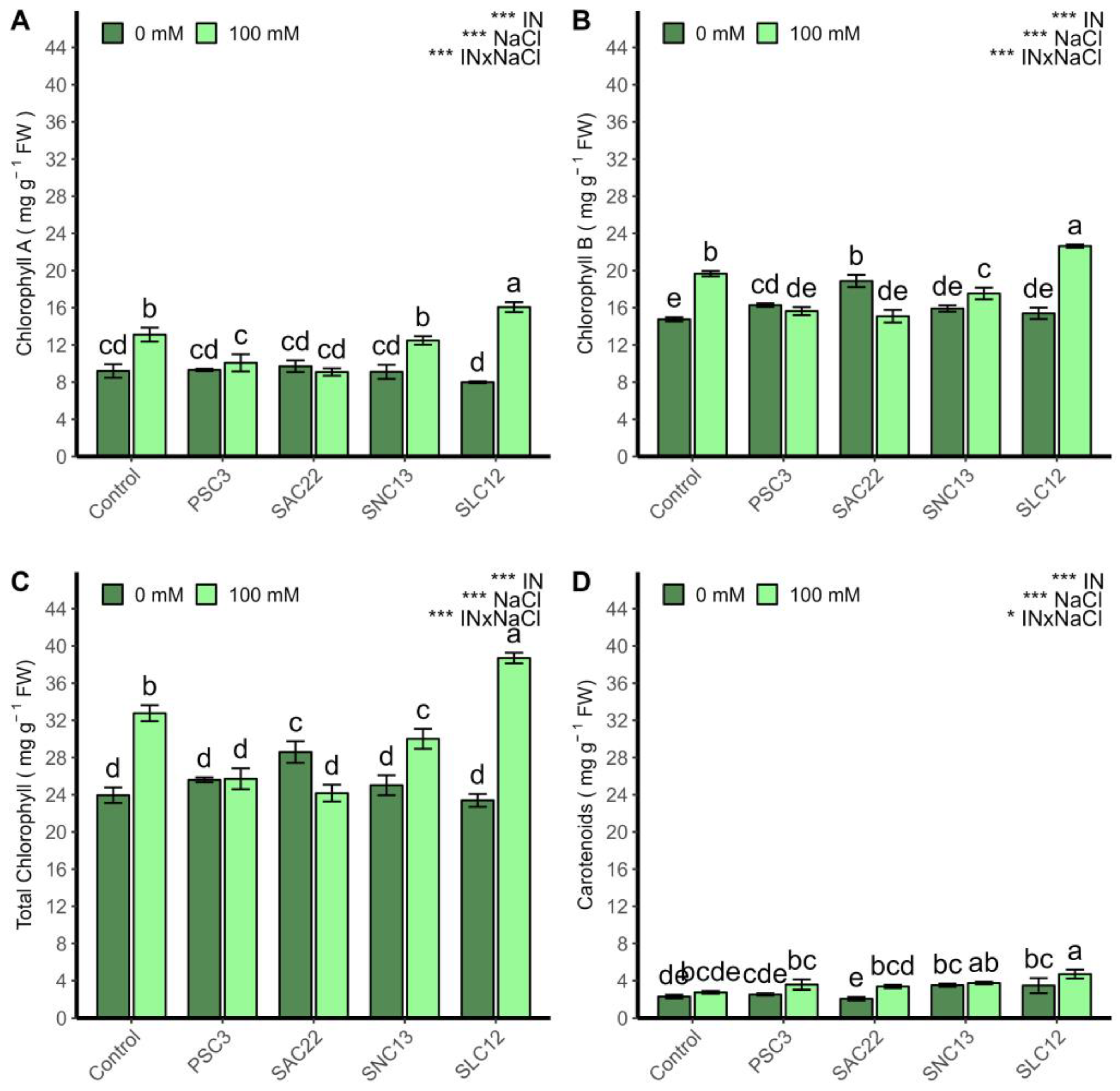 Plants 12 02018 g004