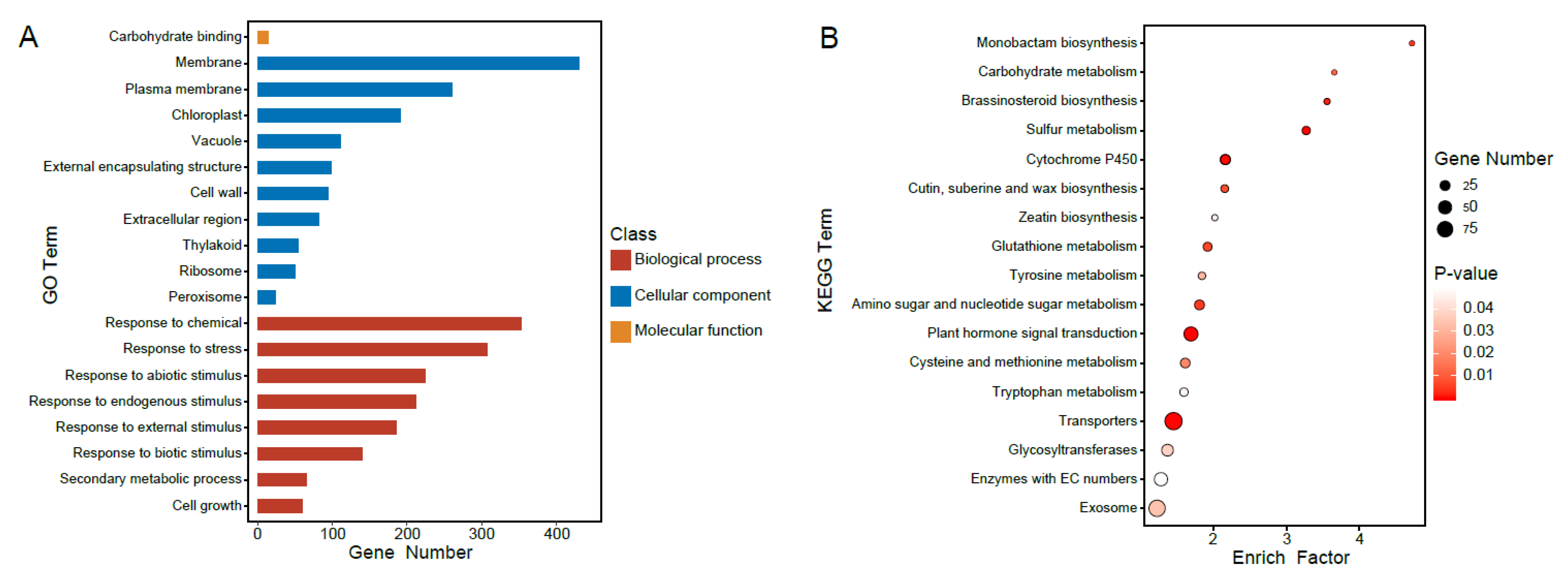 Plants 12 02029 g003 Plants 12 02029 g003