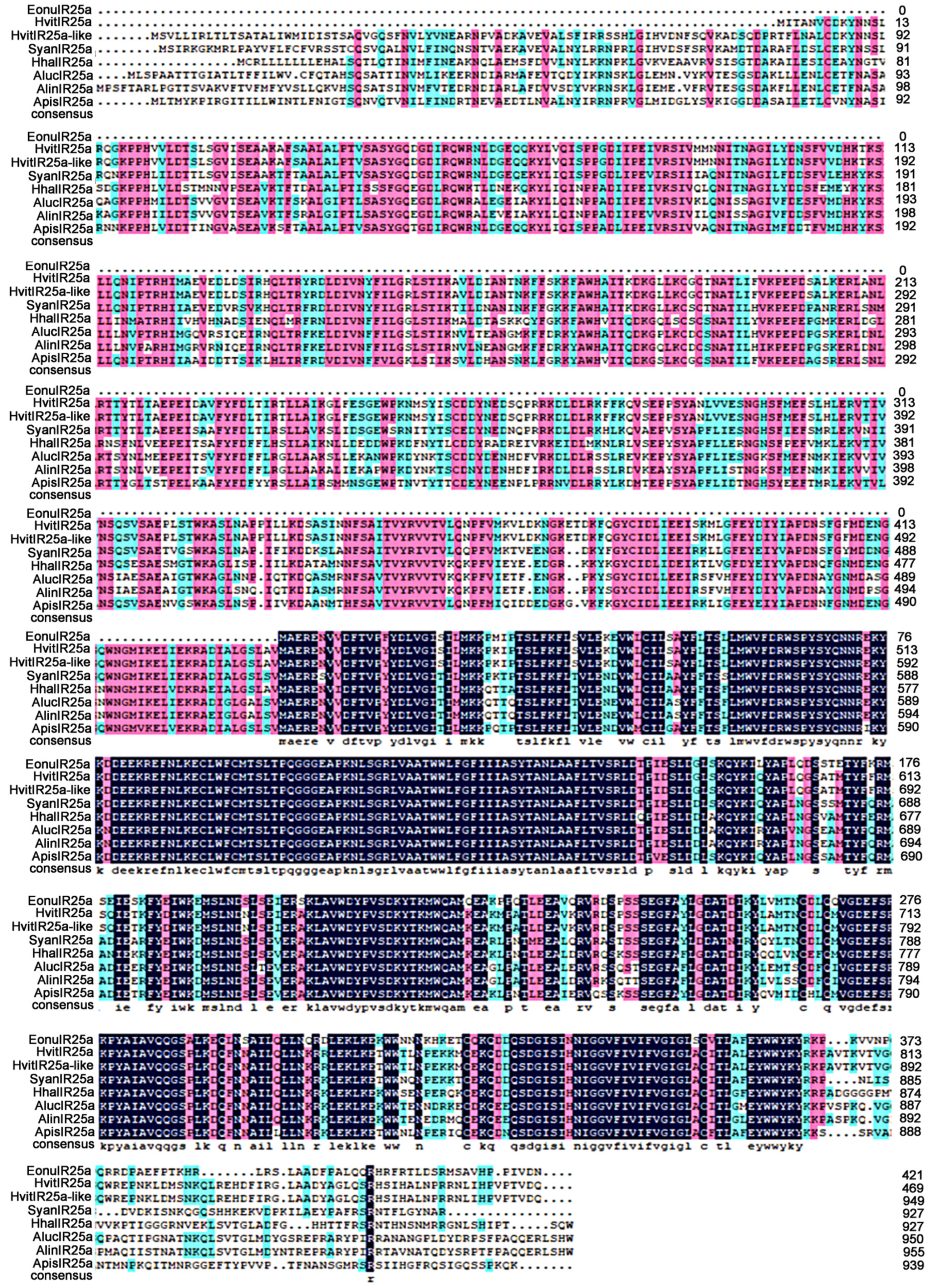Plants 12 02034 g003