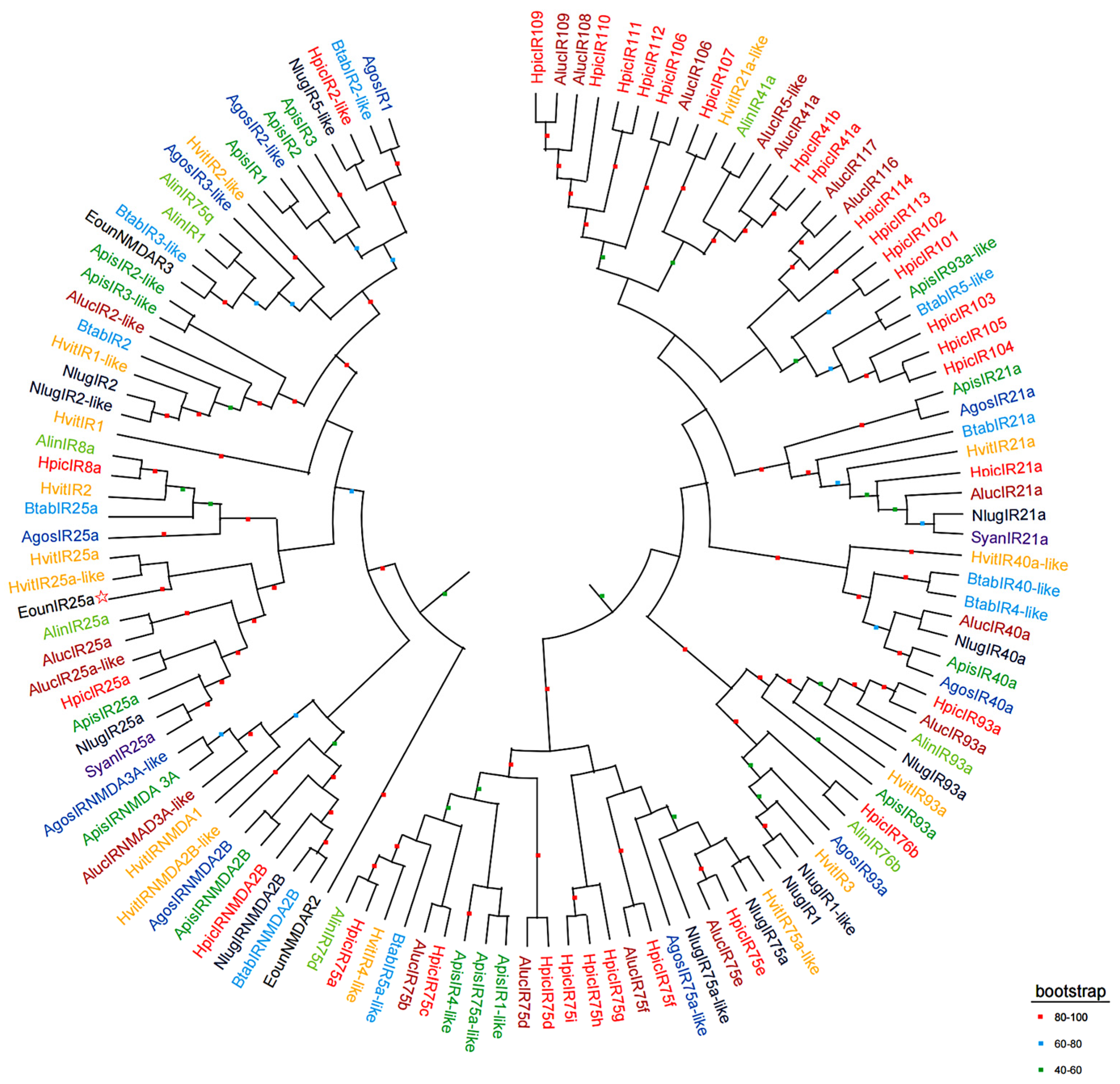 Plants 12 02034 g004