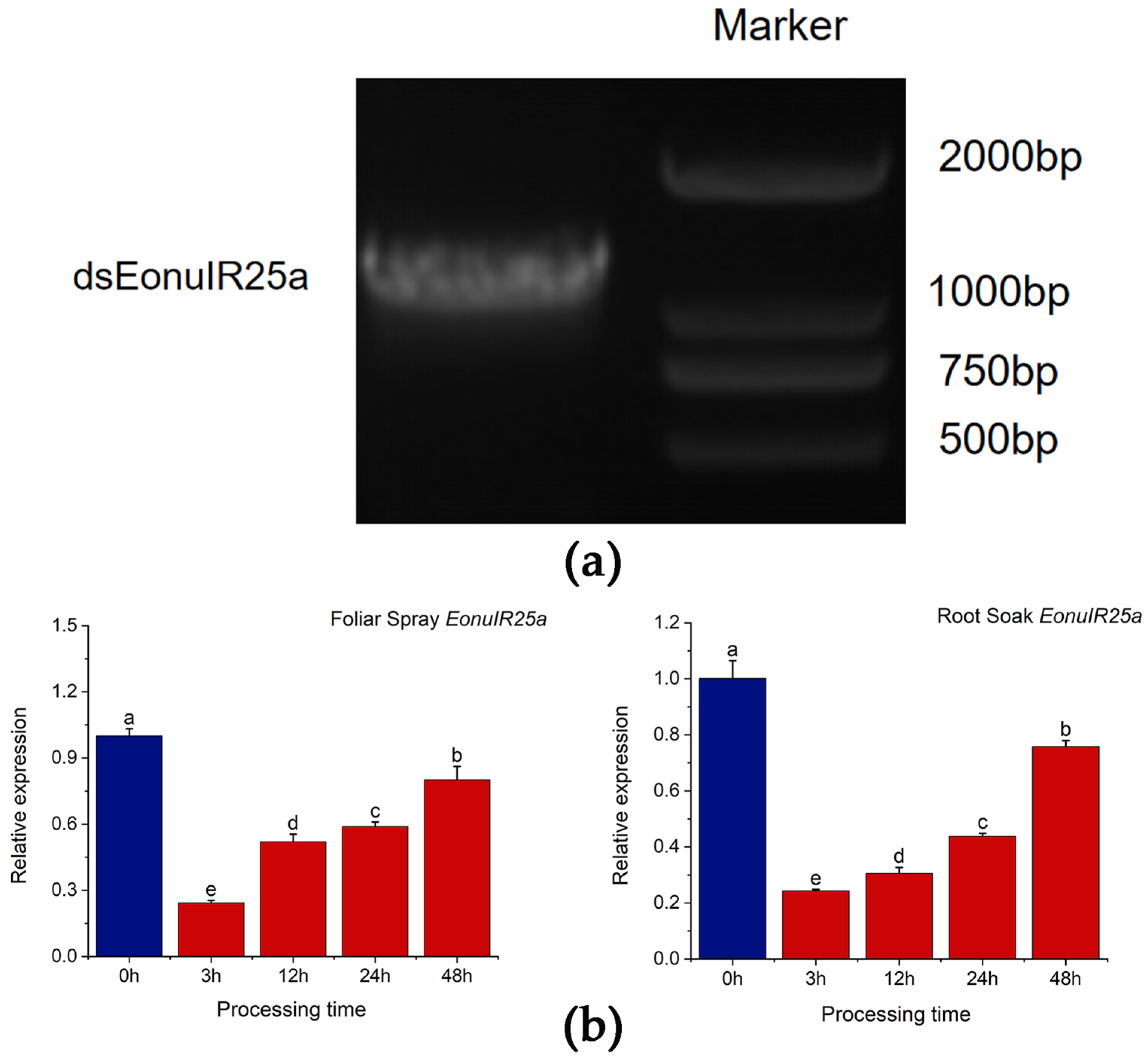 Plants 12 02034 g007