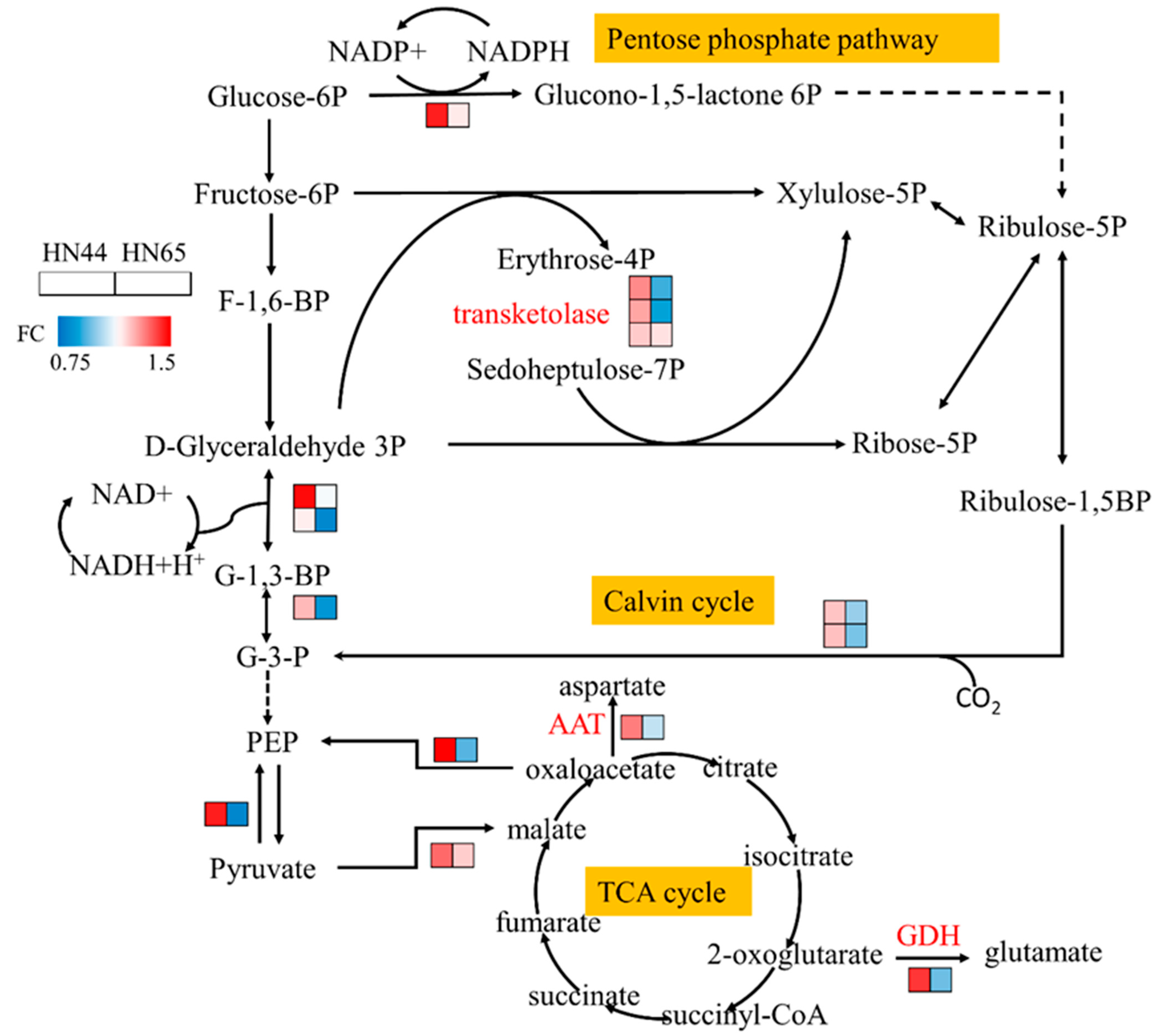 Plants 12 02037 g006