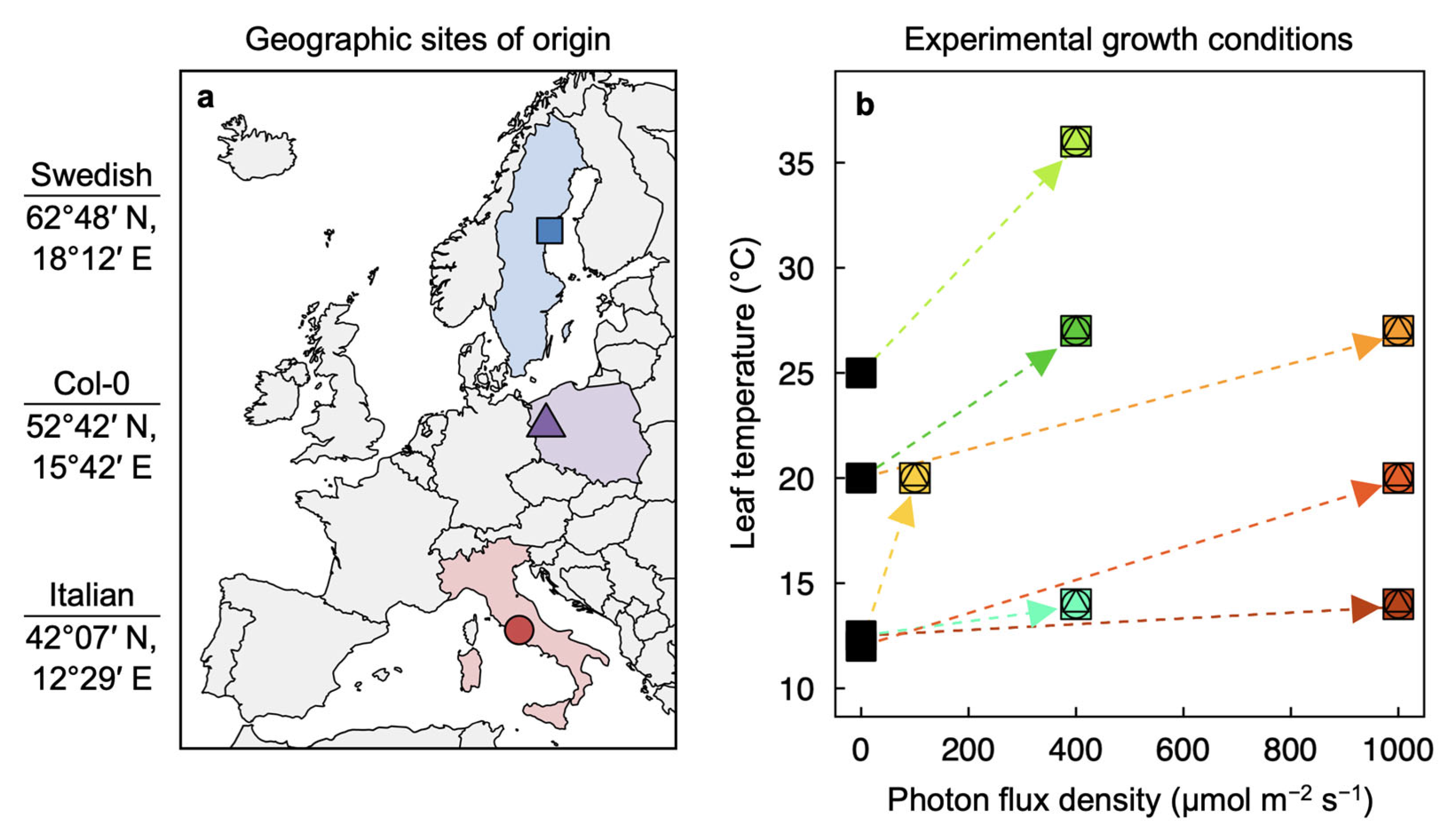 Plants 12 02041 g001