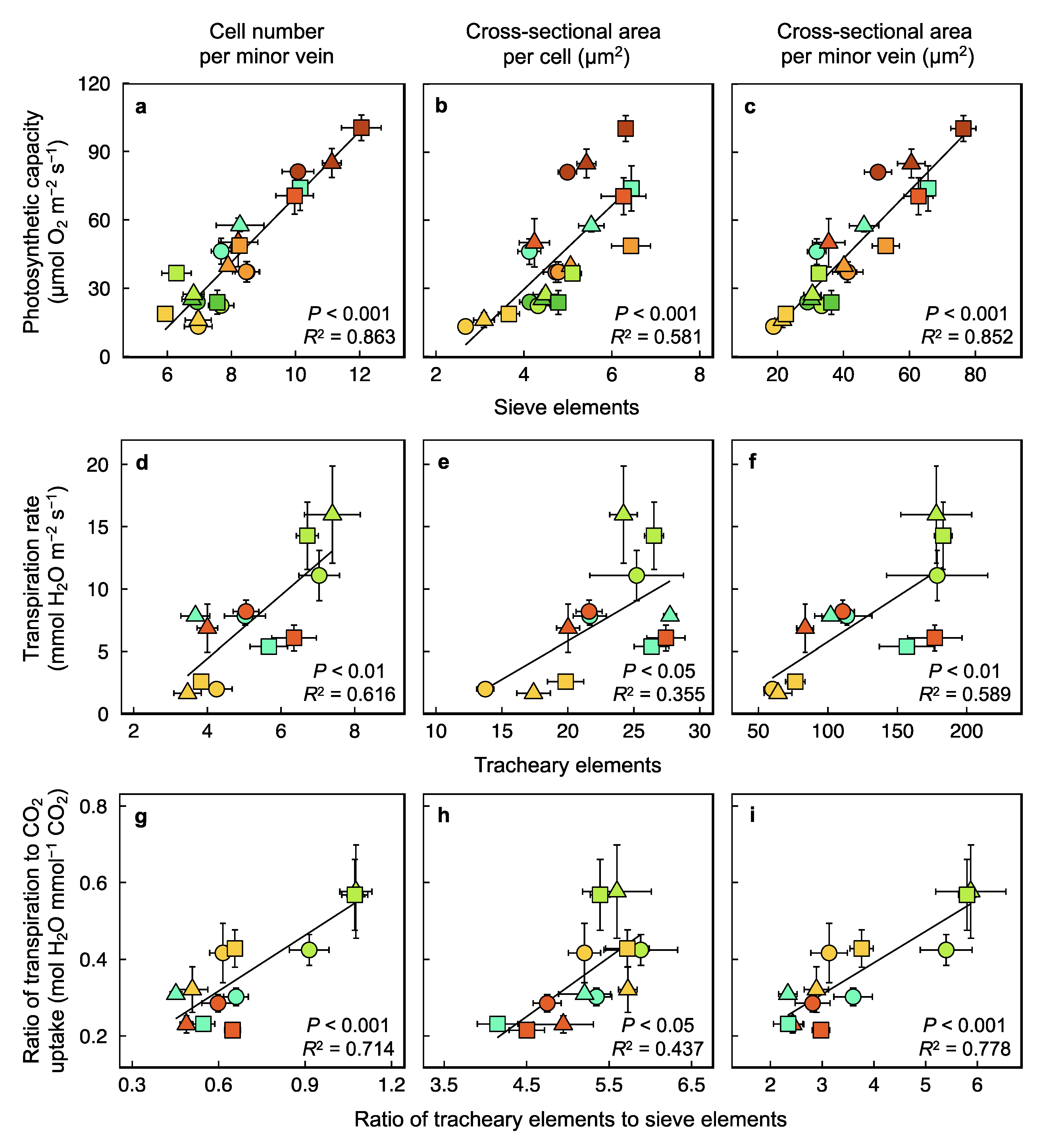 Plants 12 02041 g011