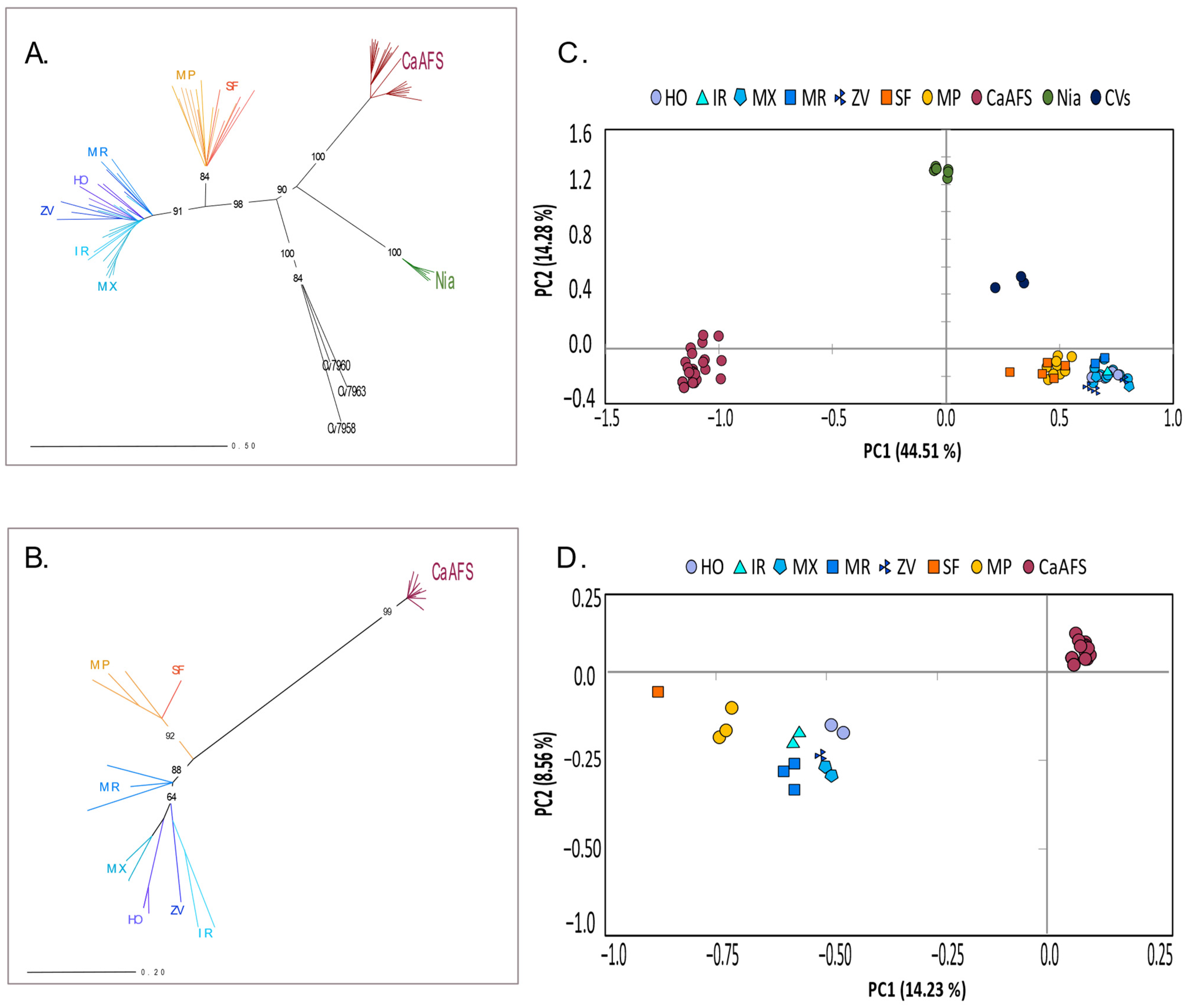Plants 12 02044 g004