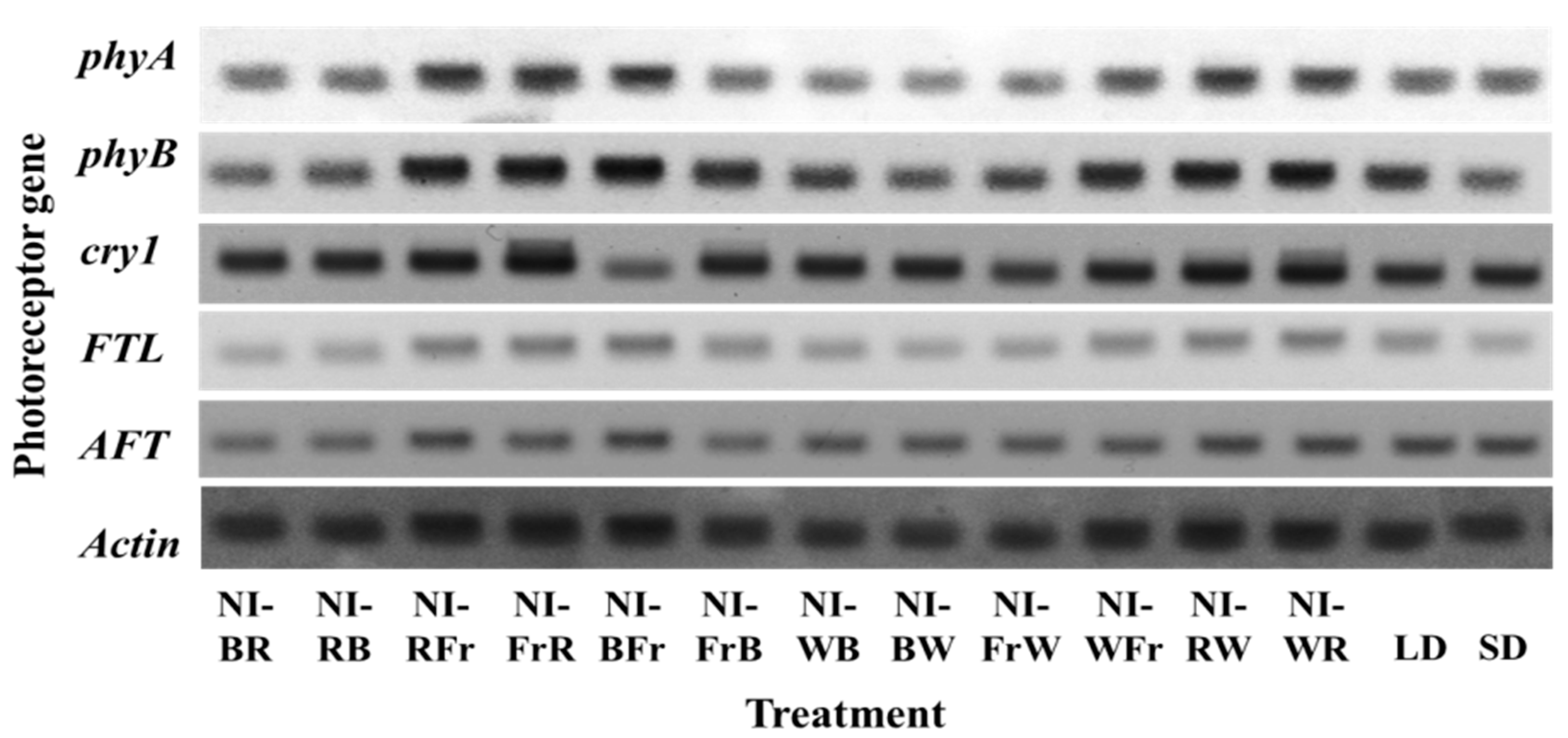 Plants 12 02049 g006