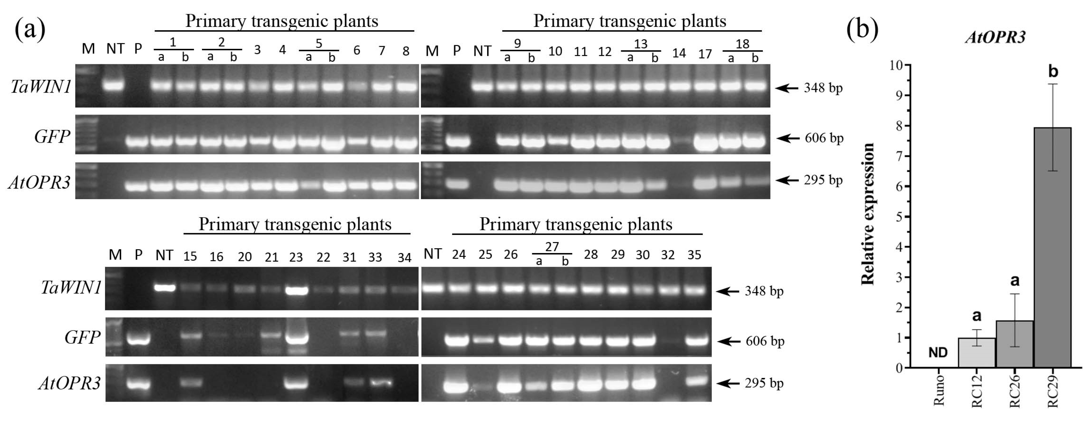Plants 12 02050 g001