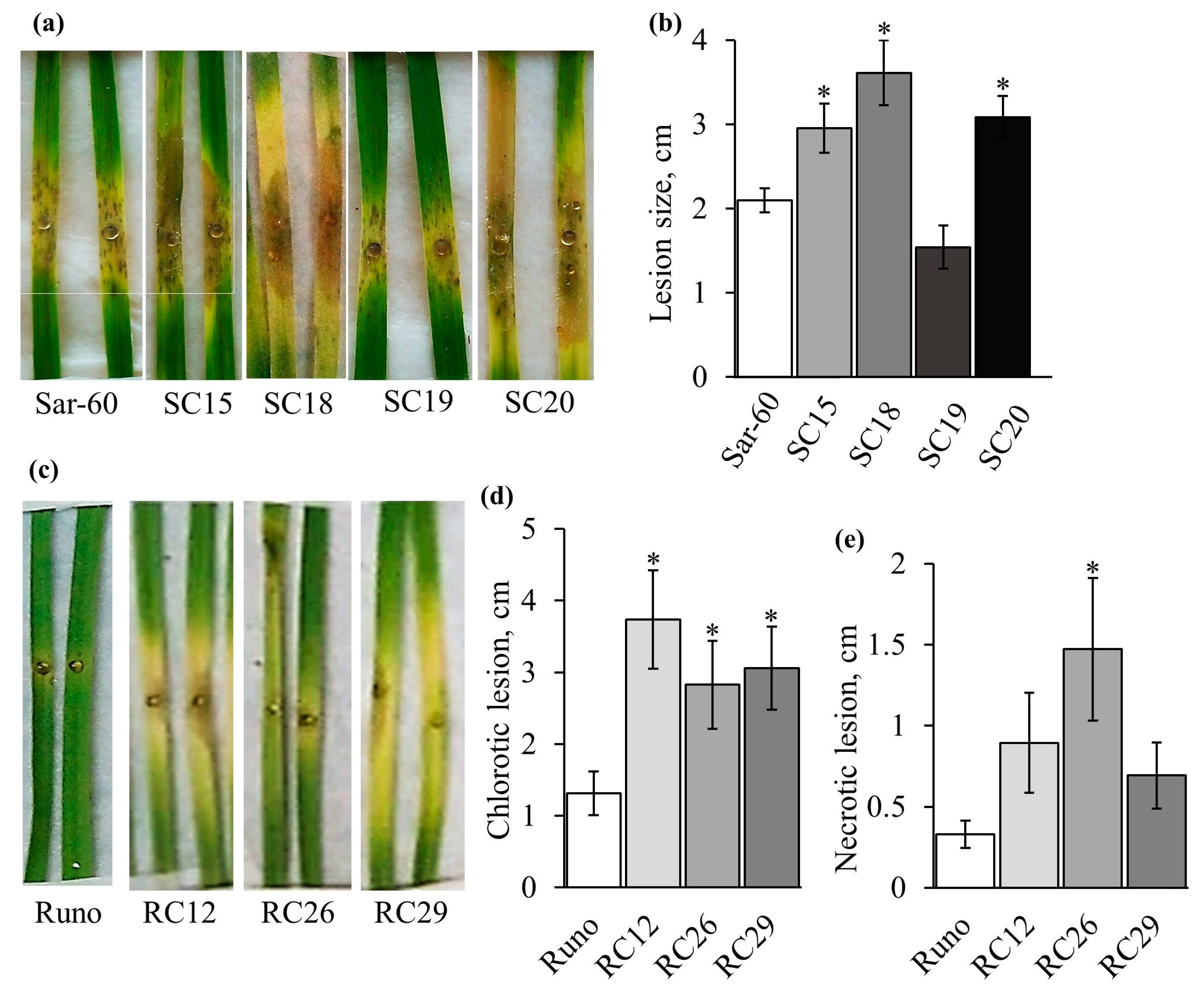 Plants 12 02050 g005