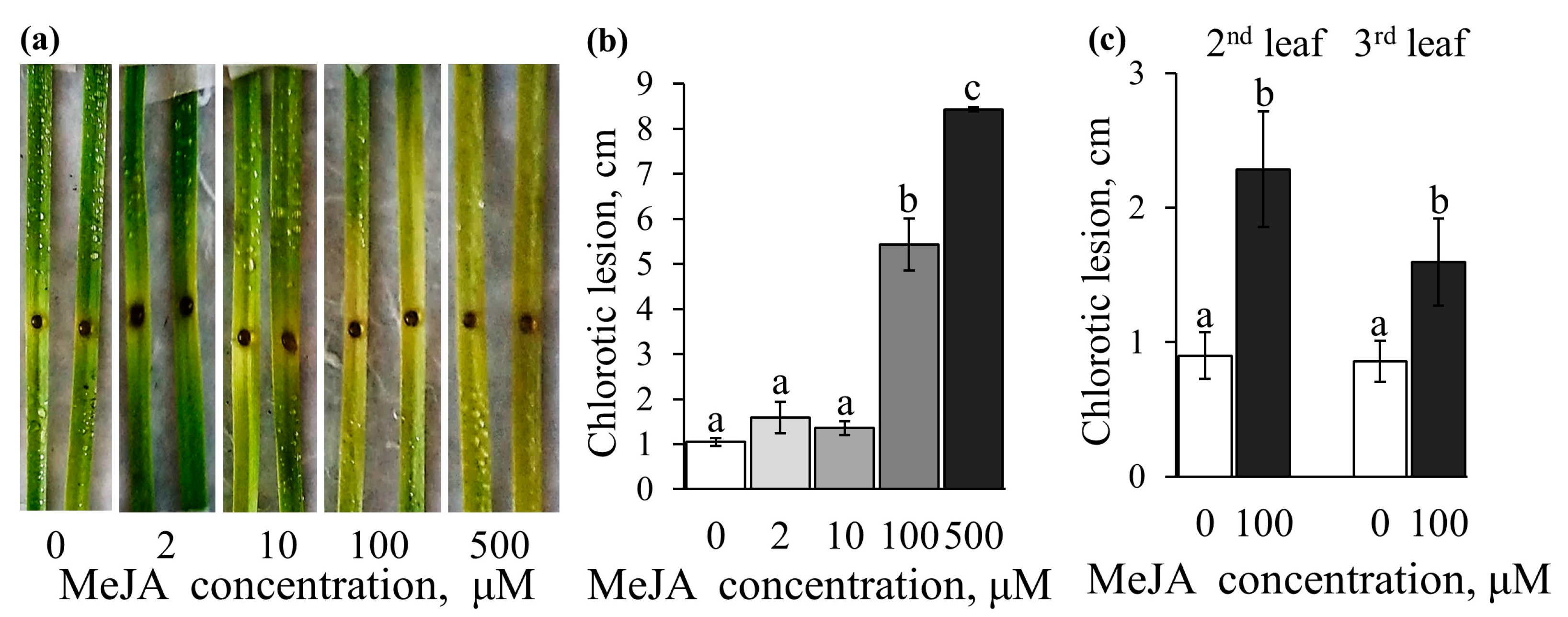 Plants 12 02050 g007