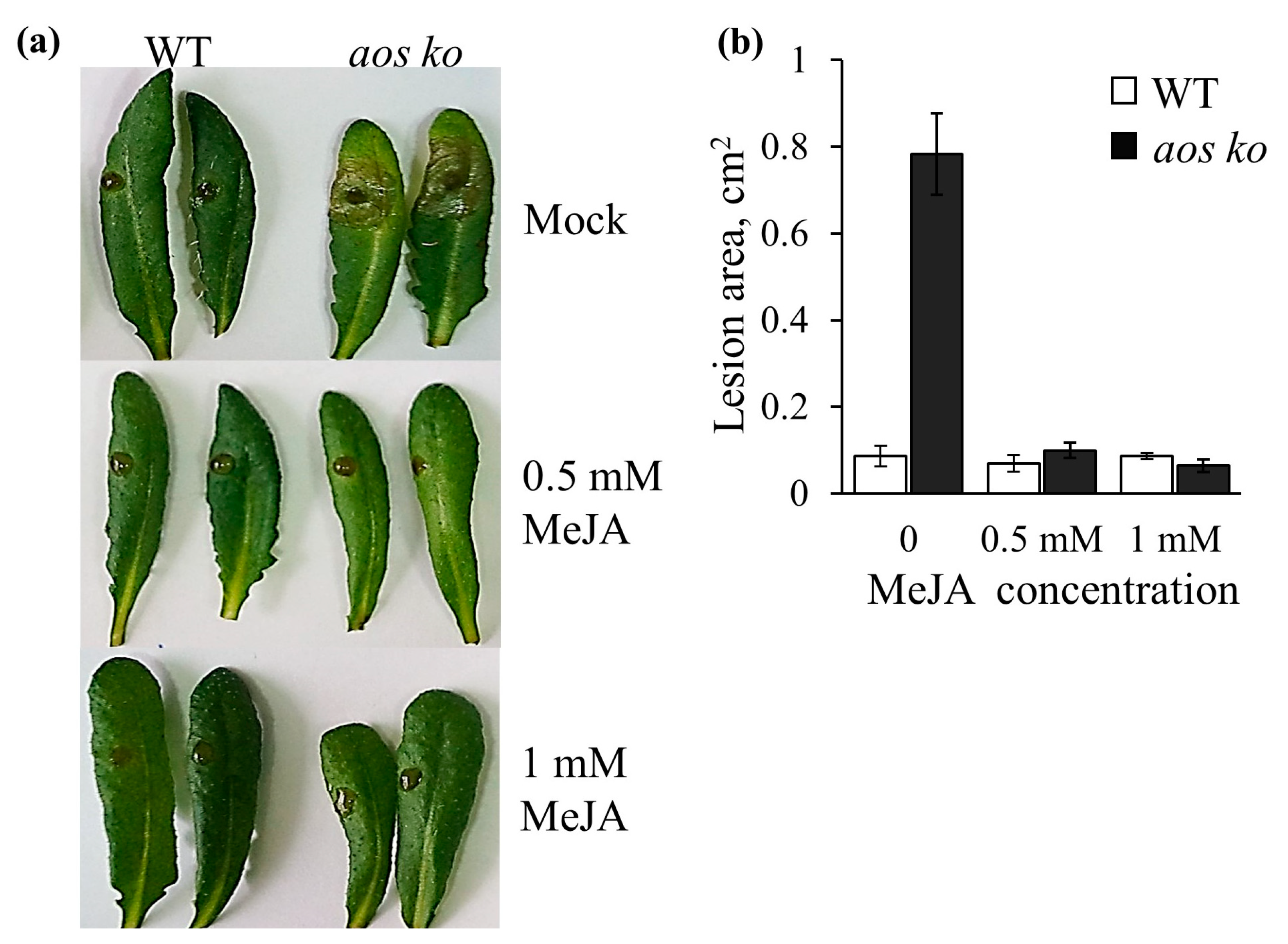 Plants 12 02050 g009